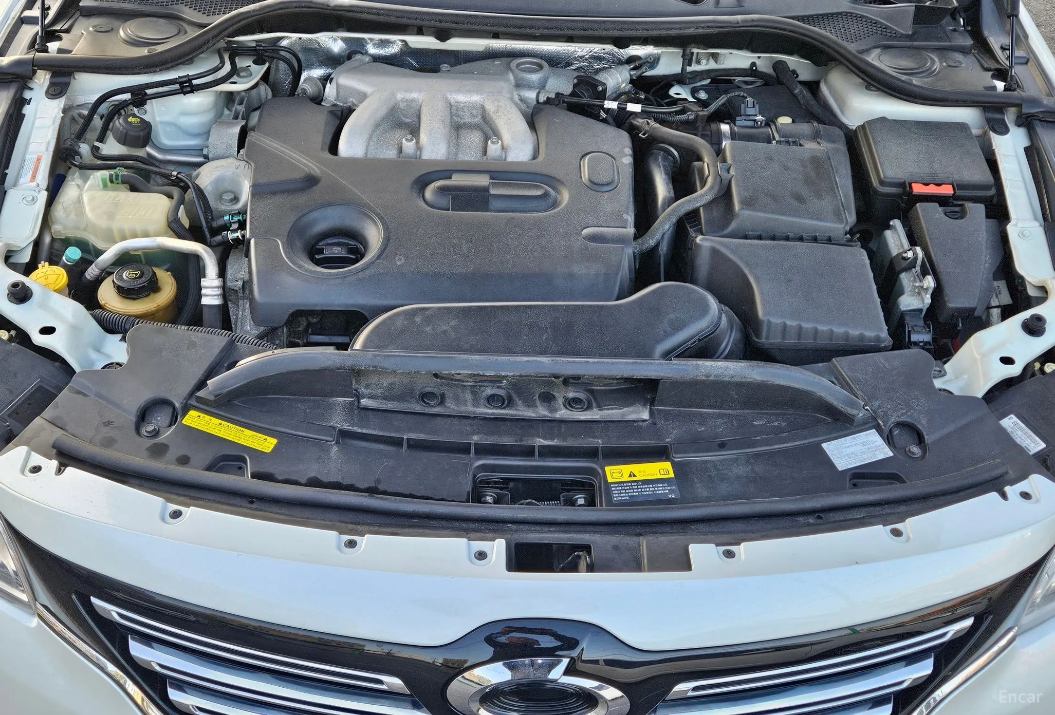 Renault Korea (Samsung) SM7 превью 6
