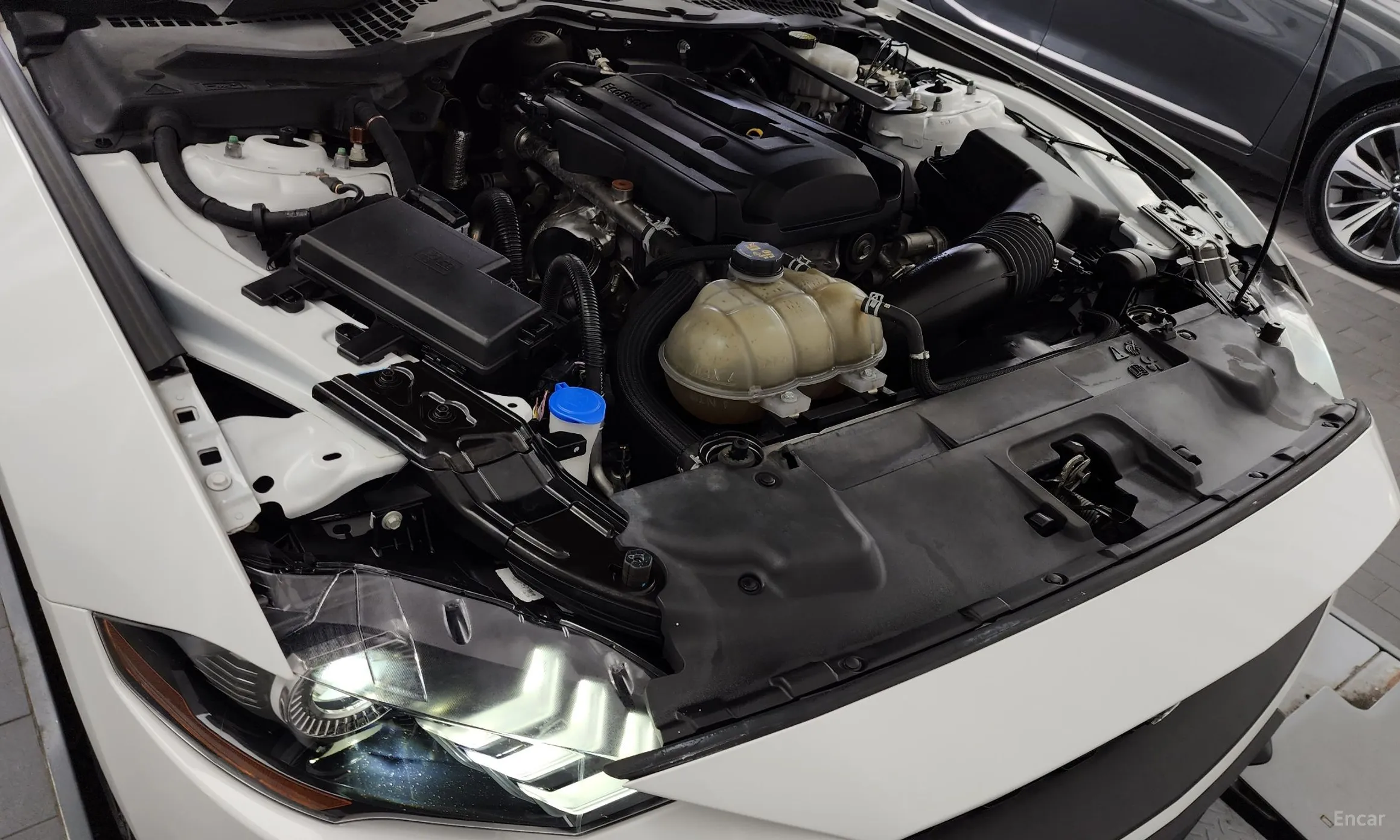 Ford Mustang превью 6