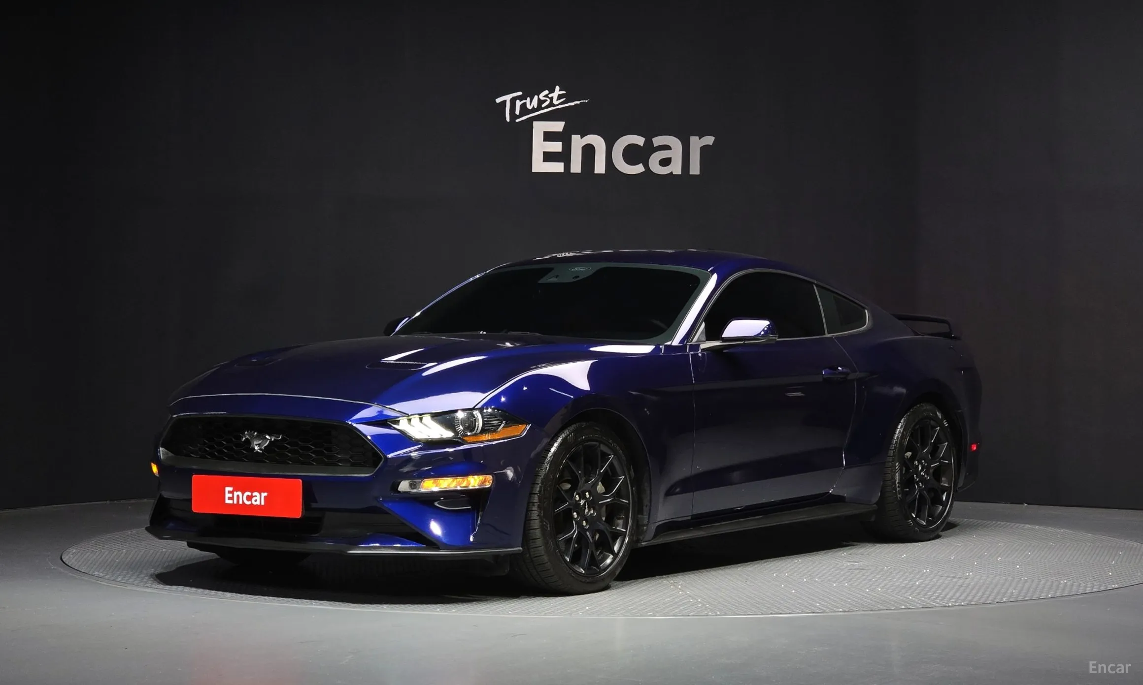 Mustang