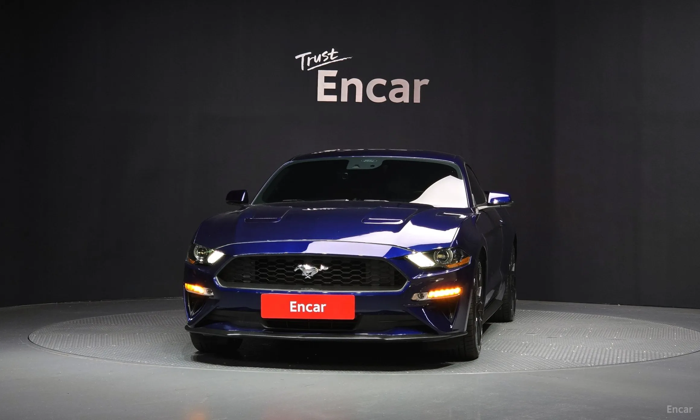 Ford Mustang превью 3