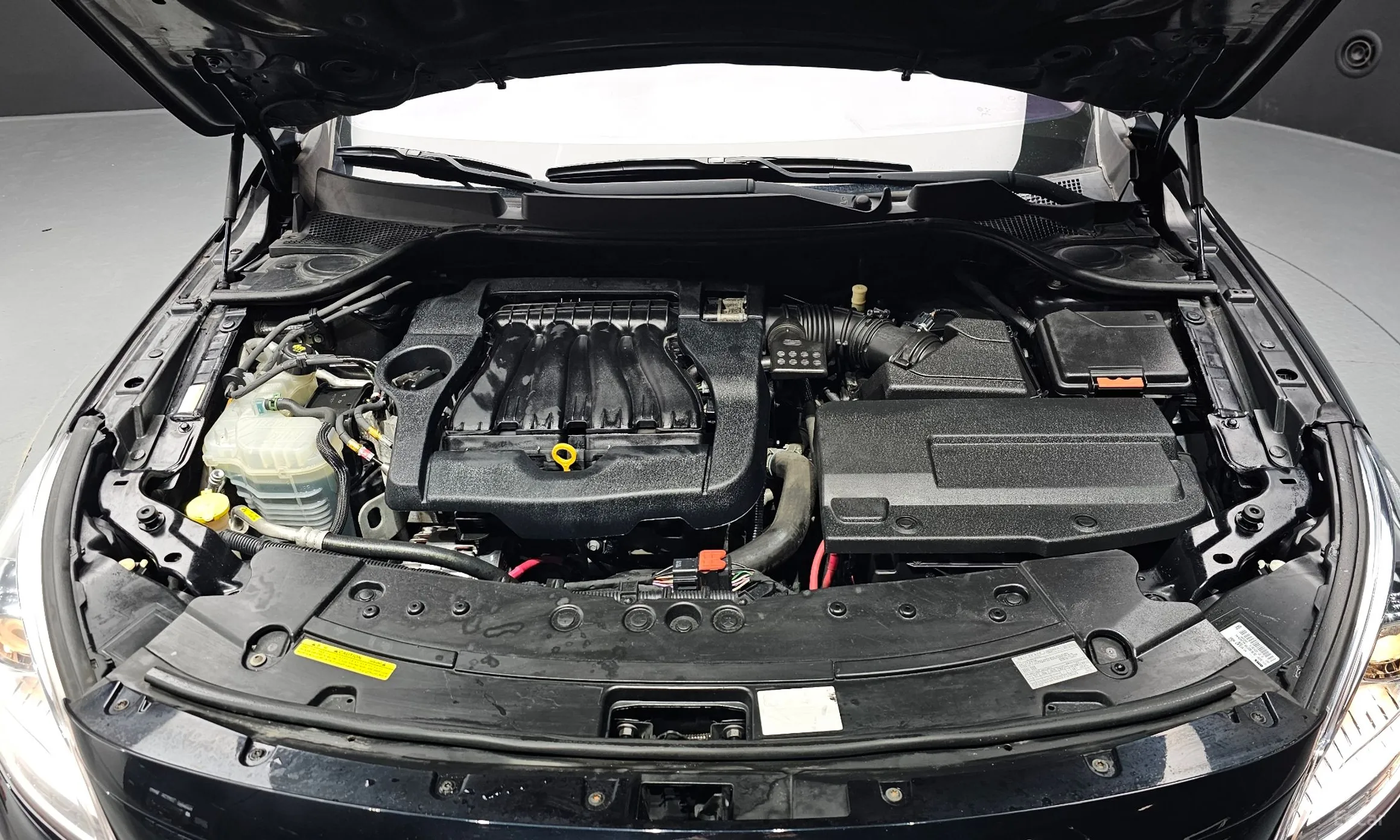 Renault Korea (Samsung) SM7 превью 6