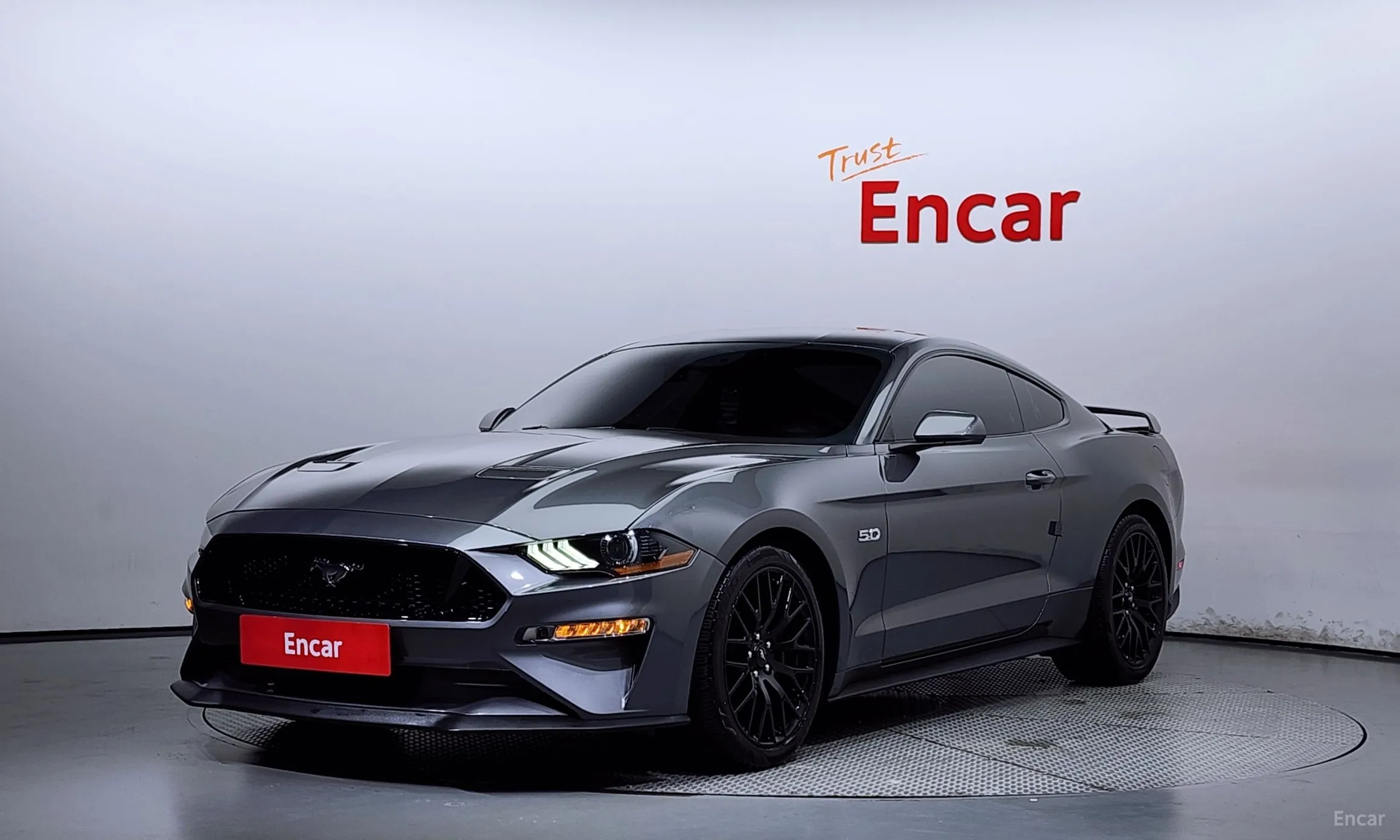 Mustang