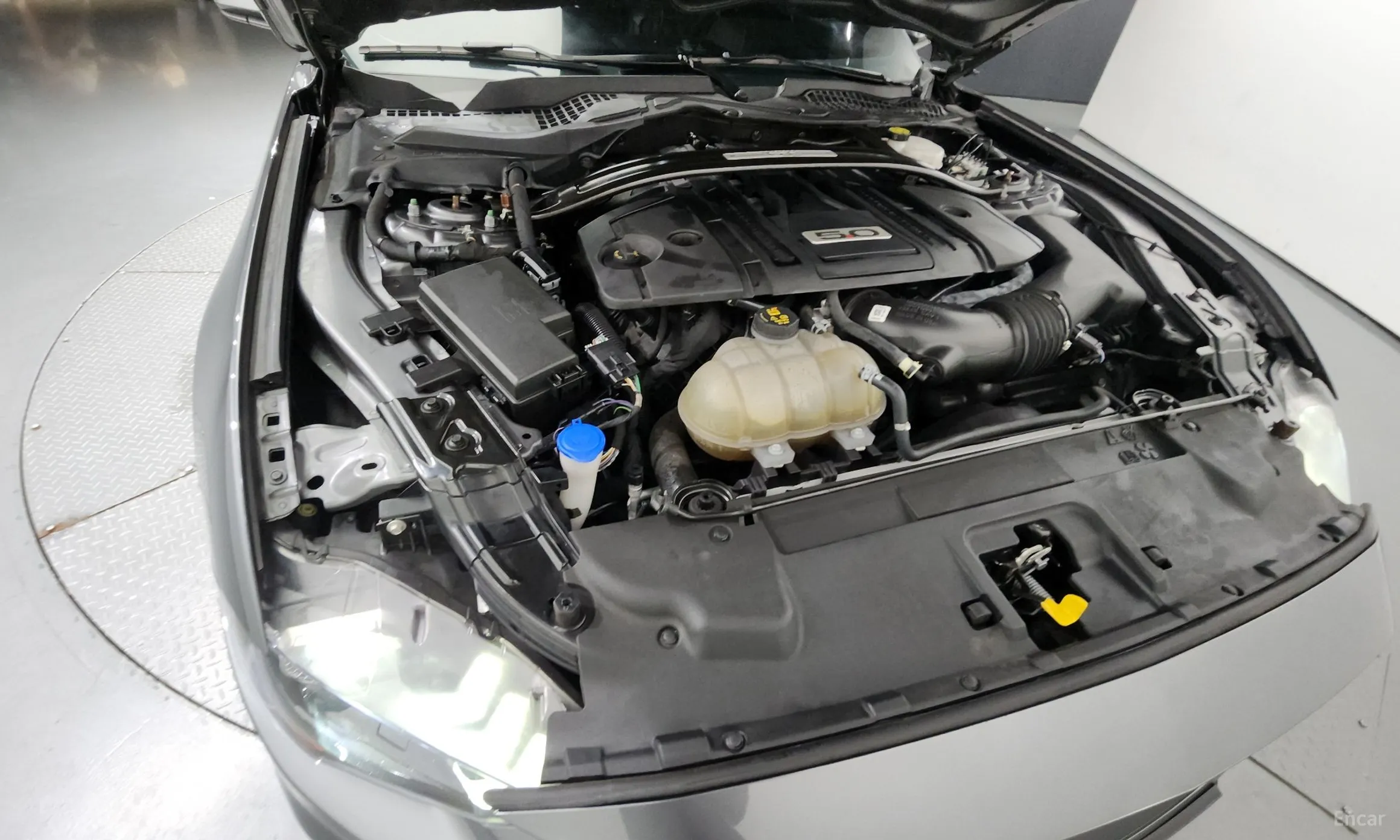 Ford Mustang превью 6
