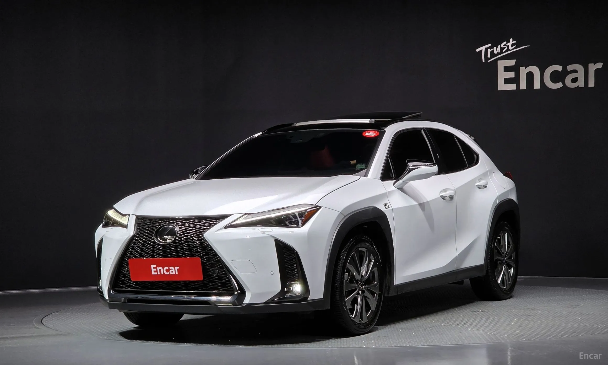 Lexus UX250h