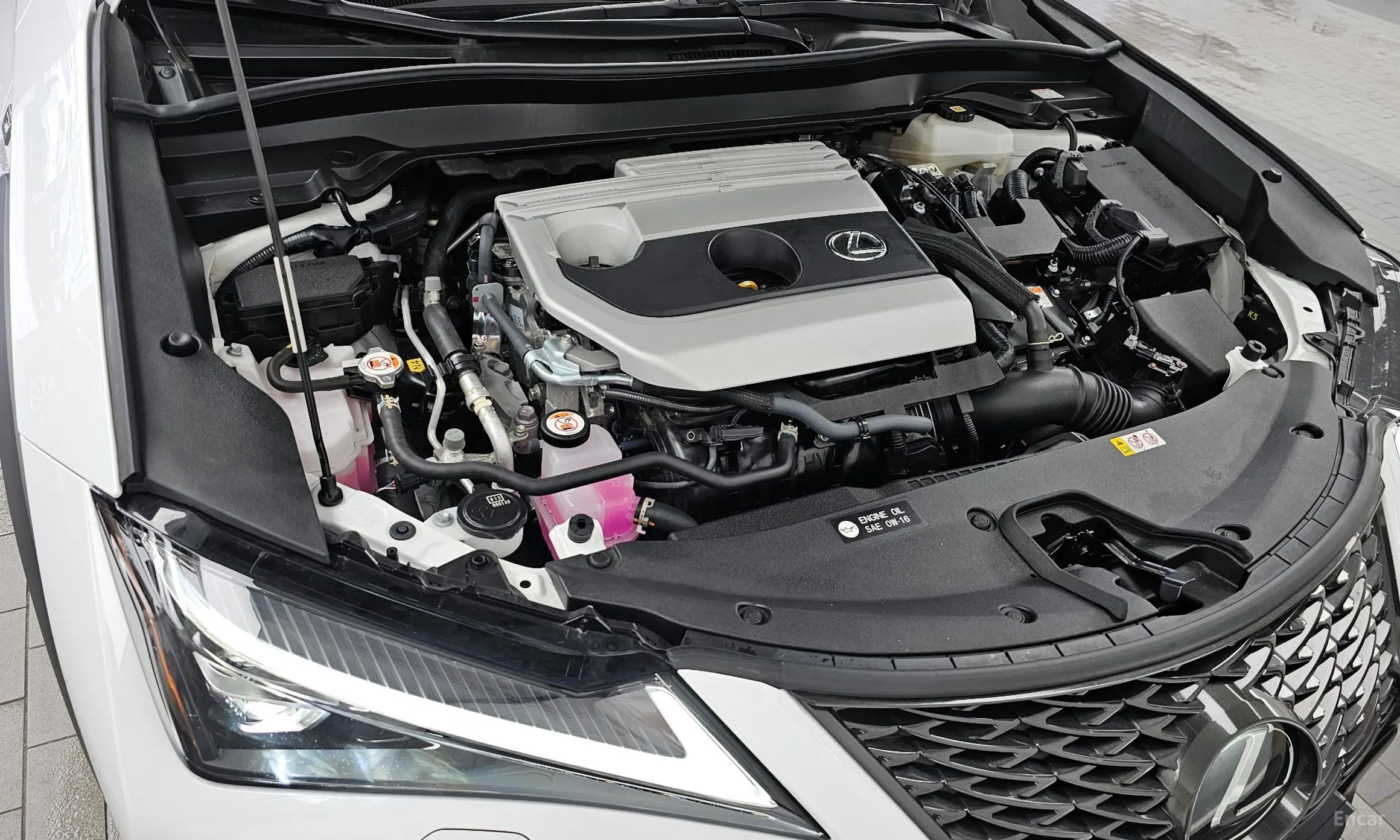 Lexus UX250h превью 6