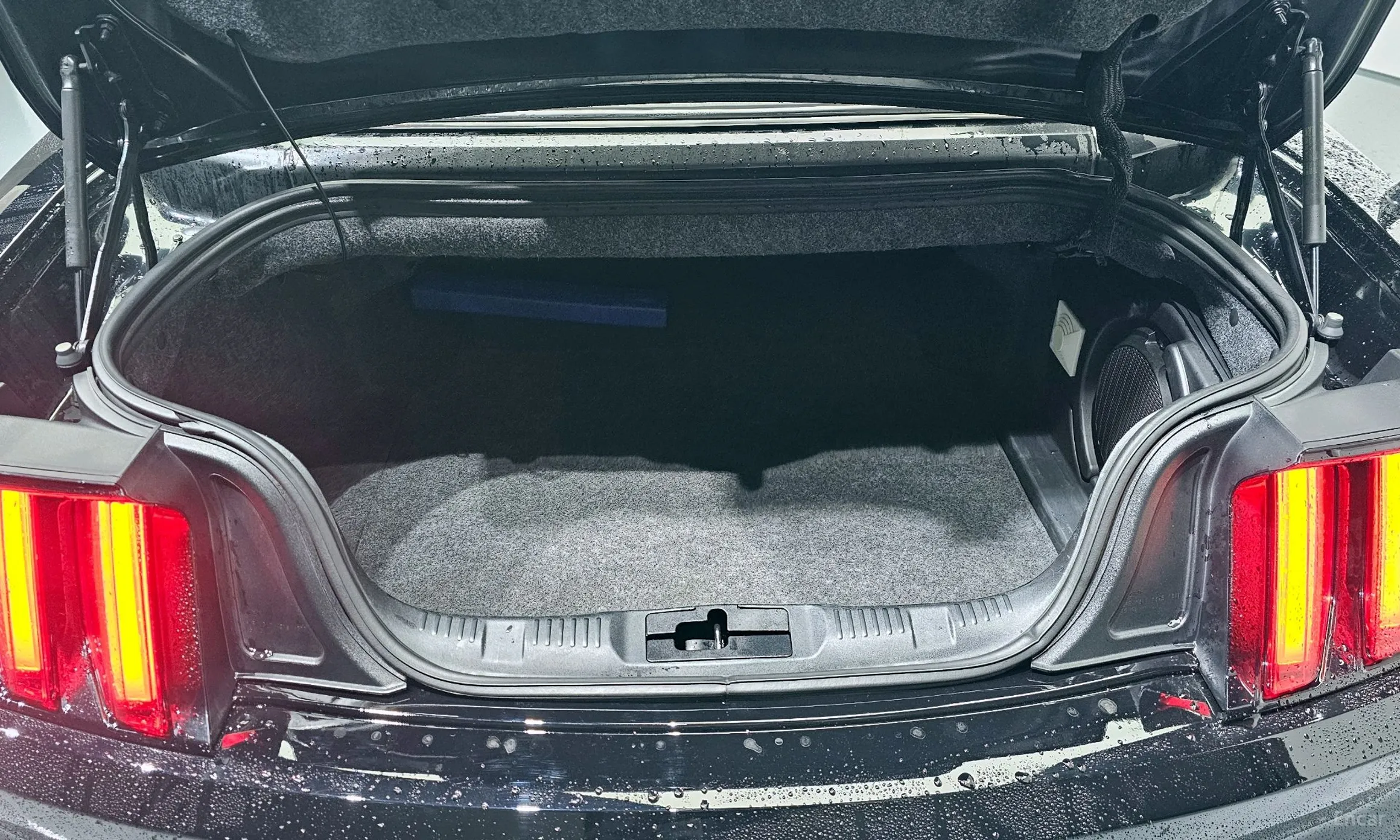 Ford Mustang превью 20