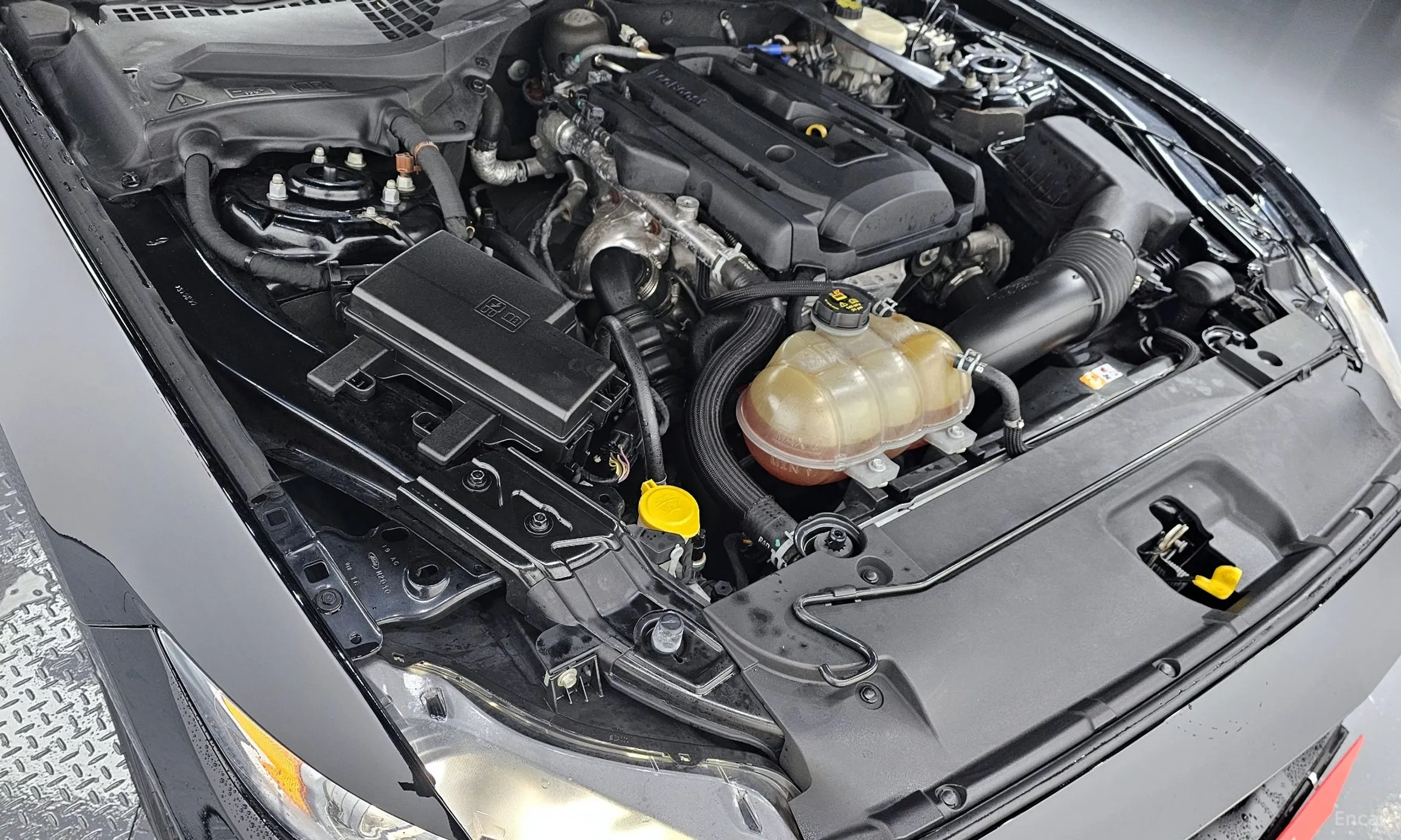 Ford Mustang превью 6