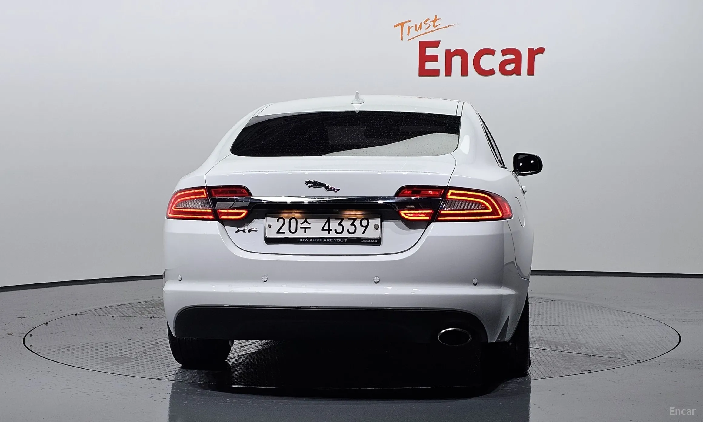 Jaguar New XF превью 4