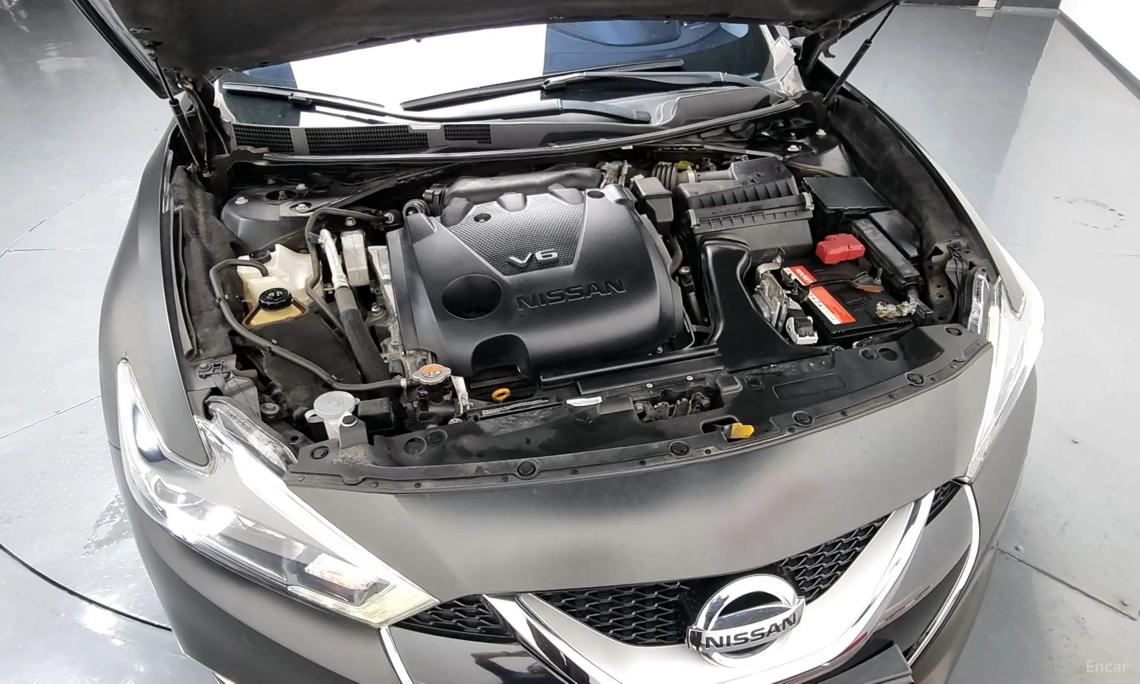 Nissan Maxima (A36) превью 6