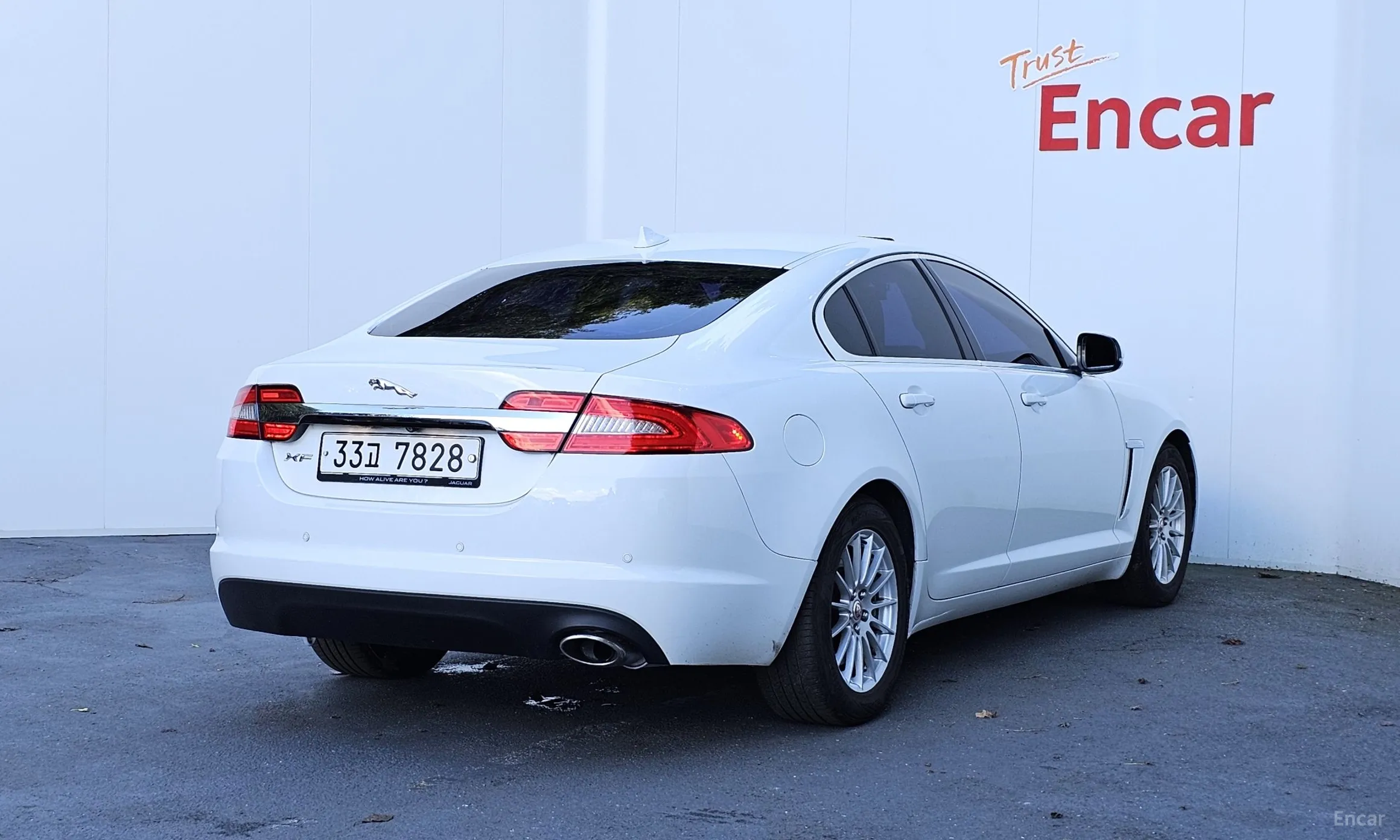 Jaguar New XF