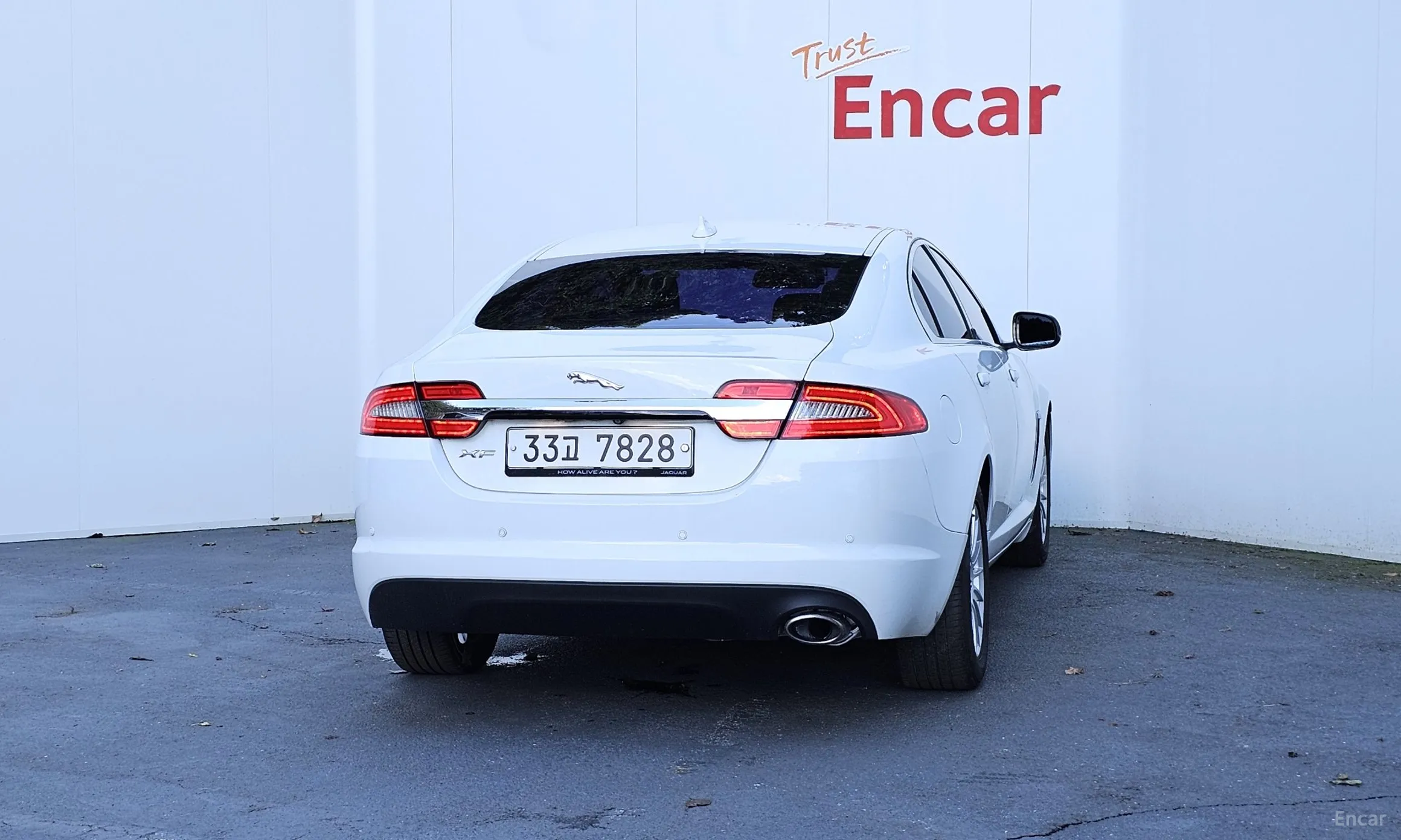 Jaguar New XF превью 4