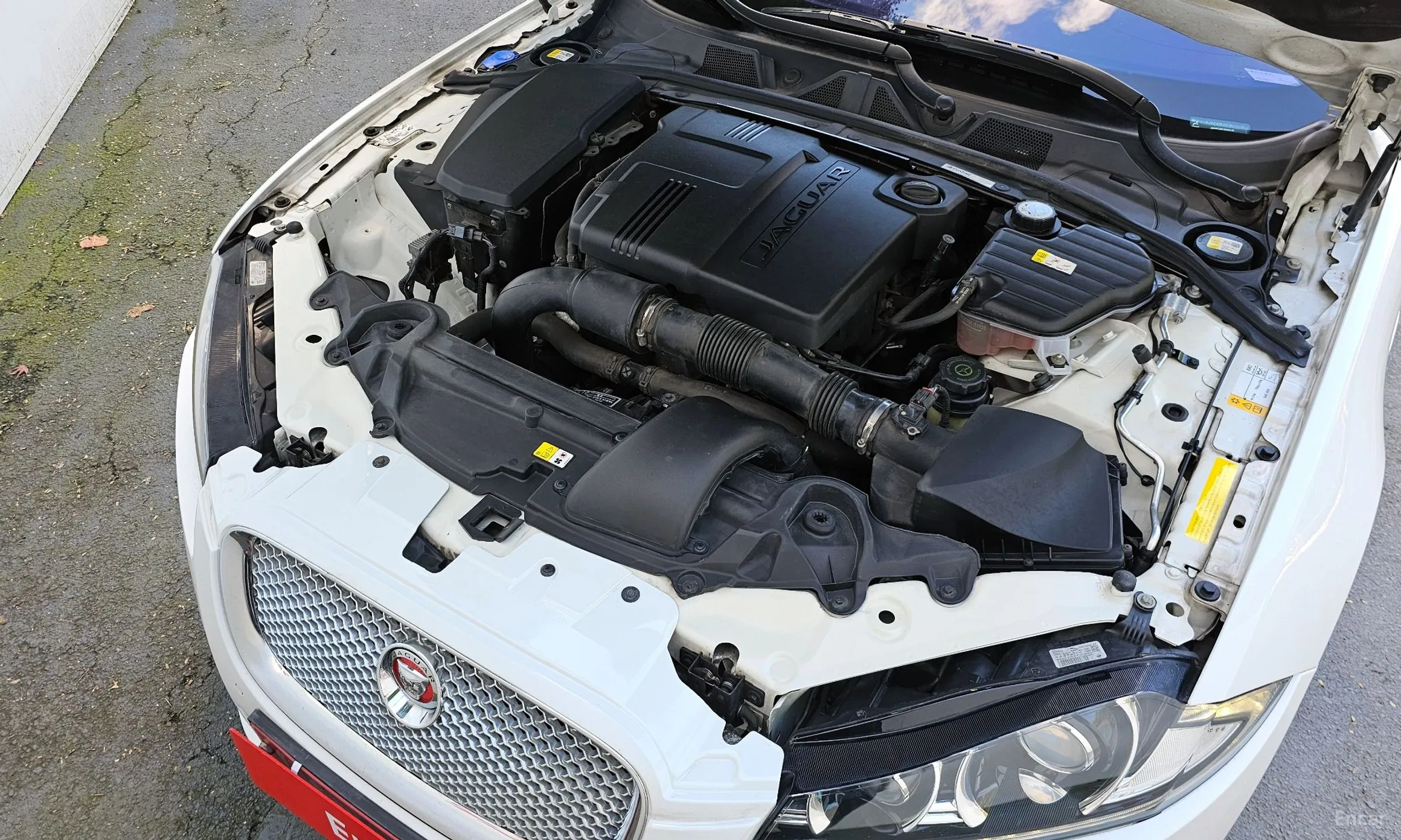 Jaguar New XF превью 6