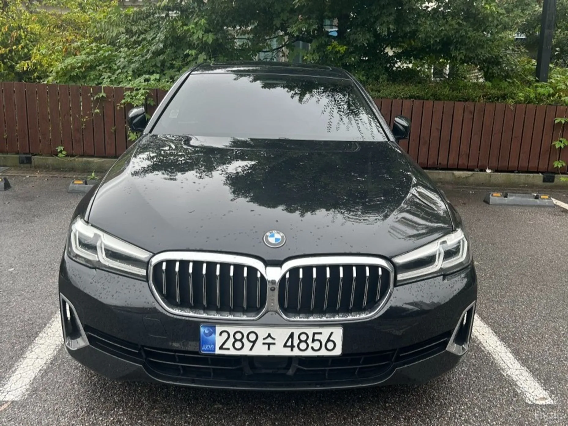 BMW 5 Series (G30) превью 2