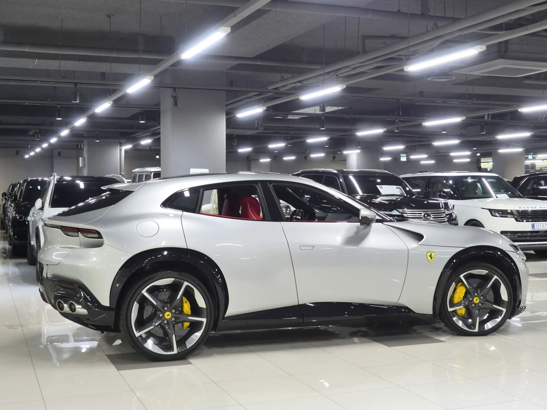 Ferrari Puro Sange