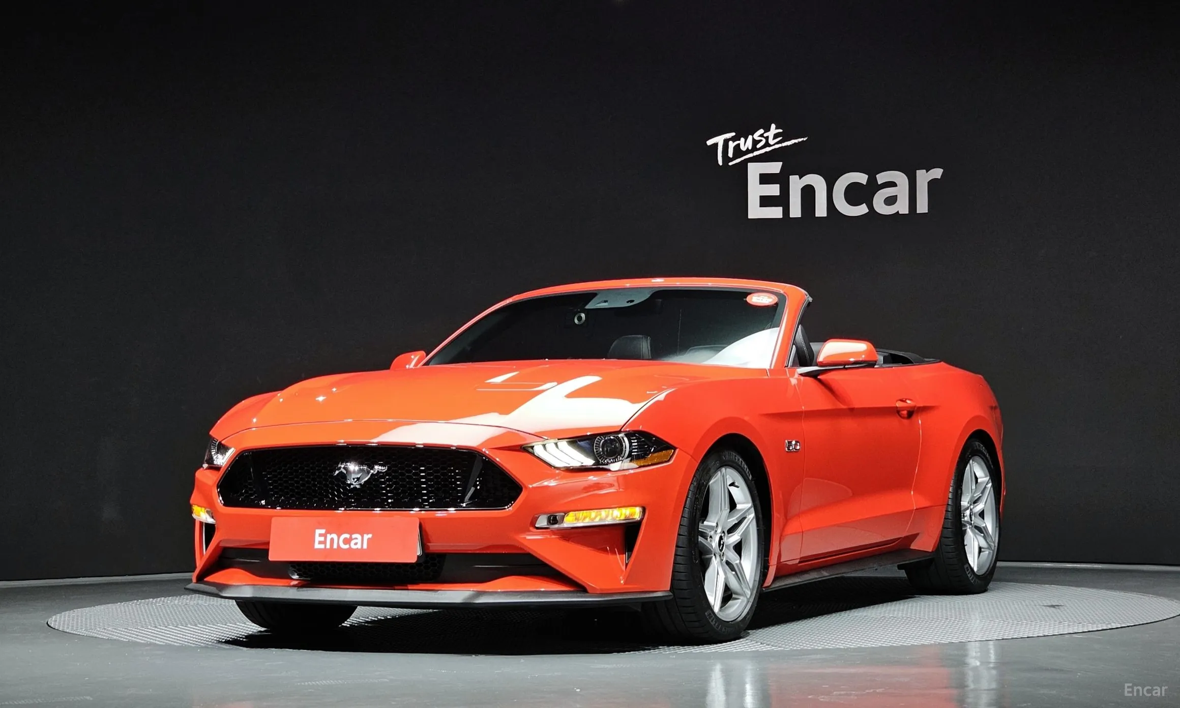 Mustang