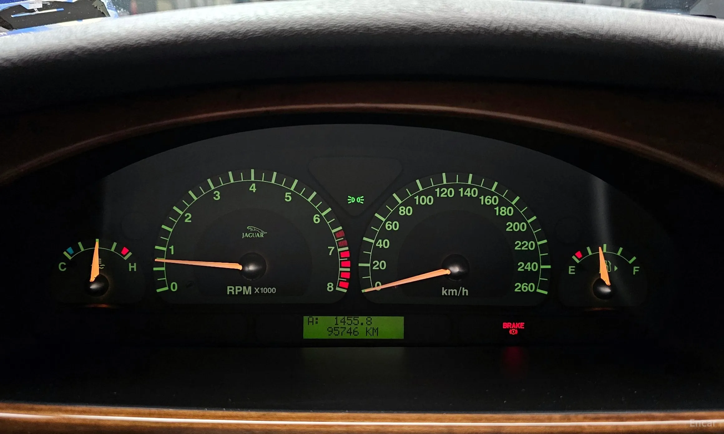 Jaguar %s type. превью 8