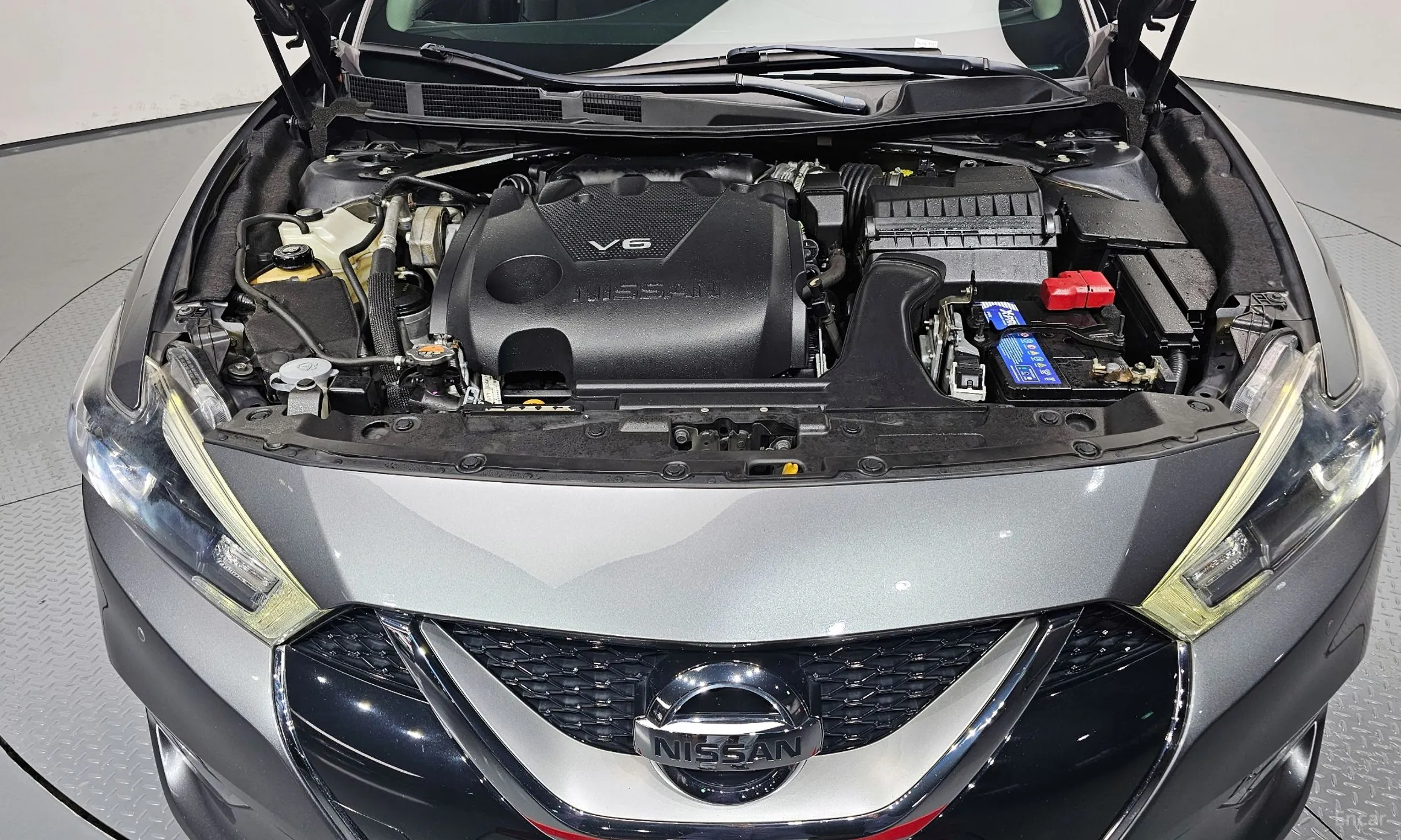Nissan Maxima (A36) превью 6