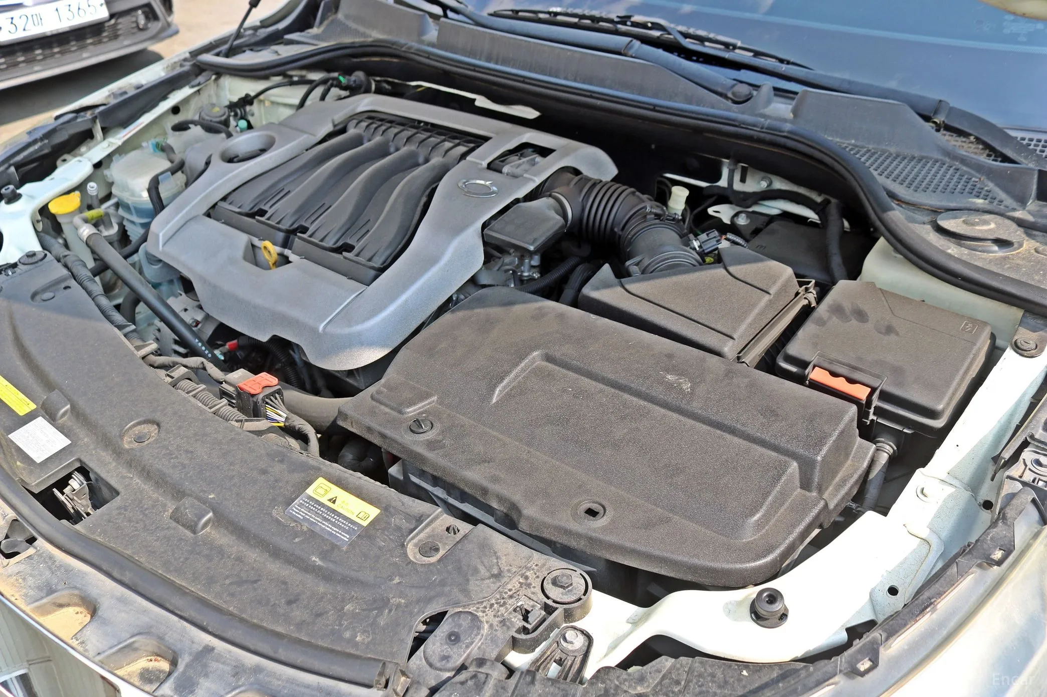 Renault Korea (Samsung) SM5 превью 20