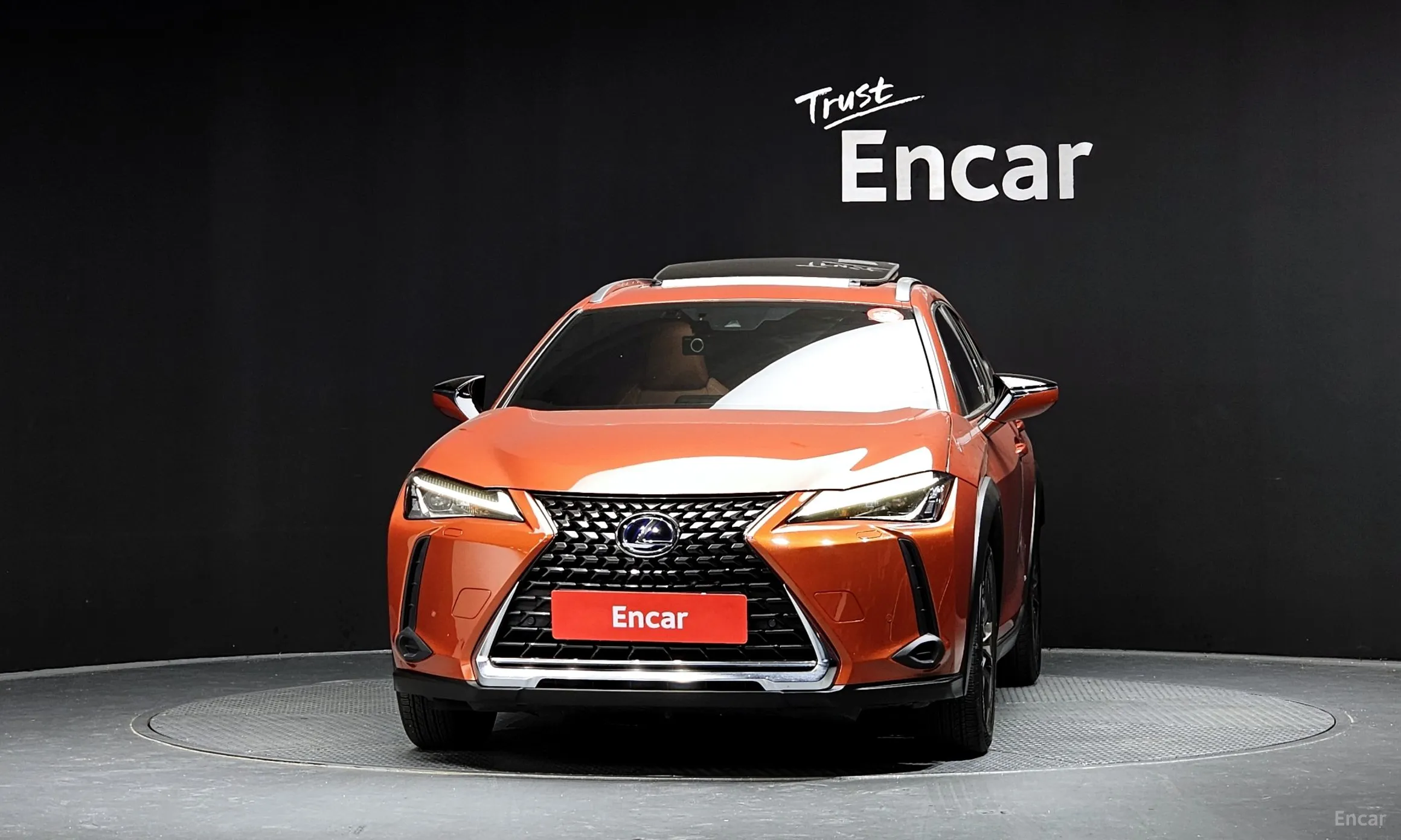 Lexus UX250h превью 3