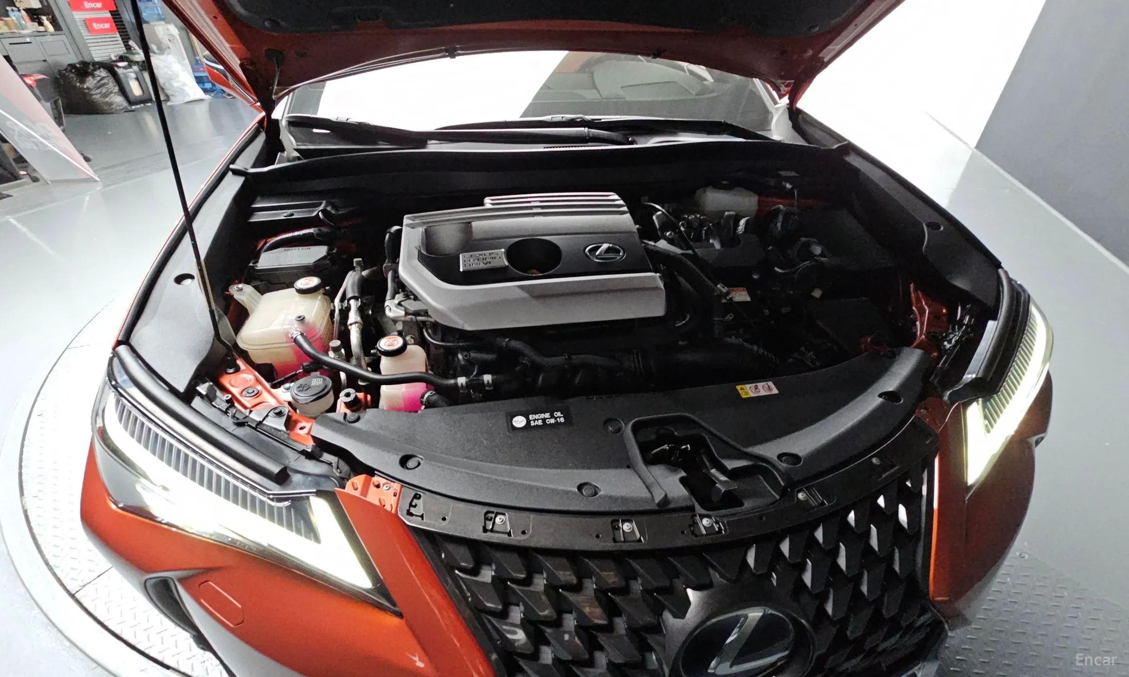 Lexus UX250h превью 6