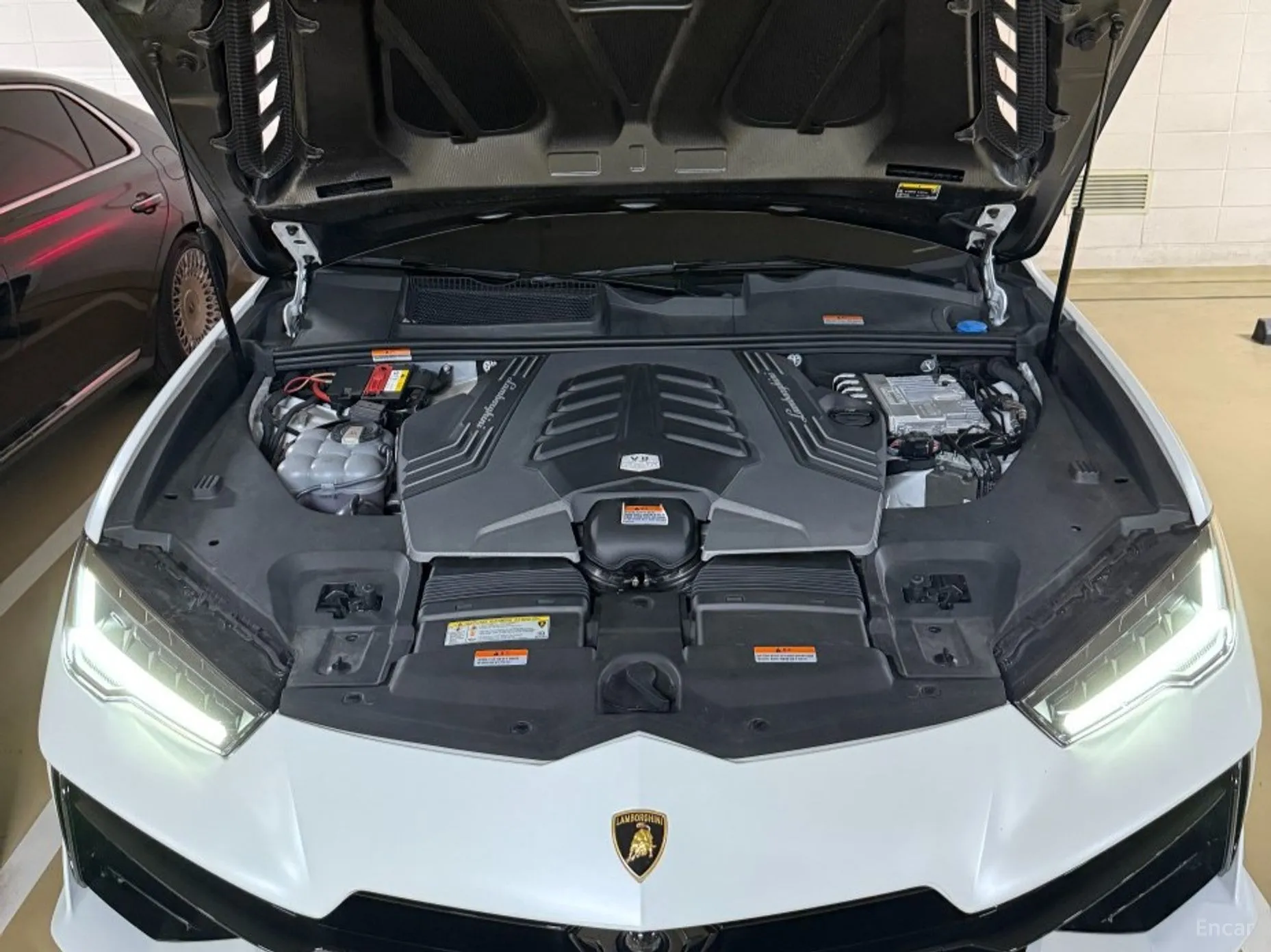 Lamborghini Urus превью 6