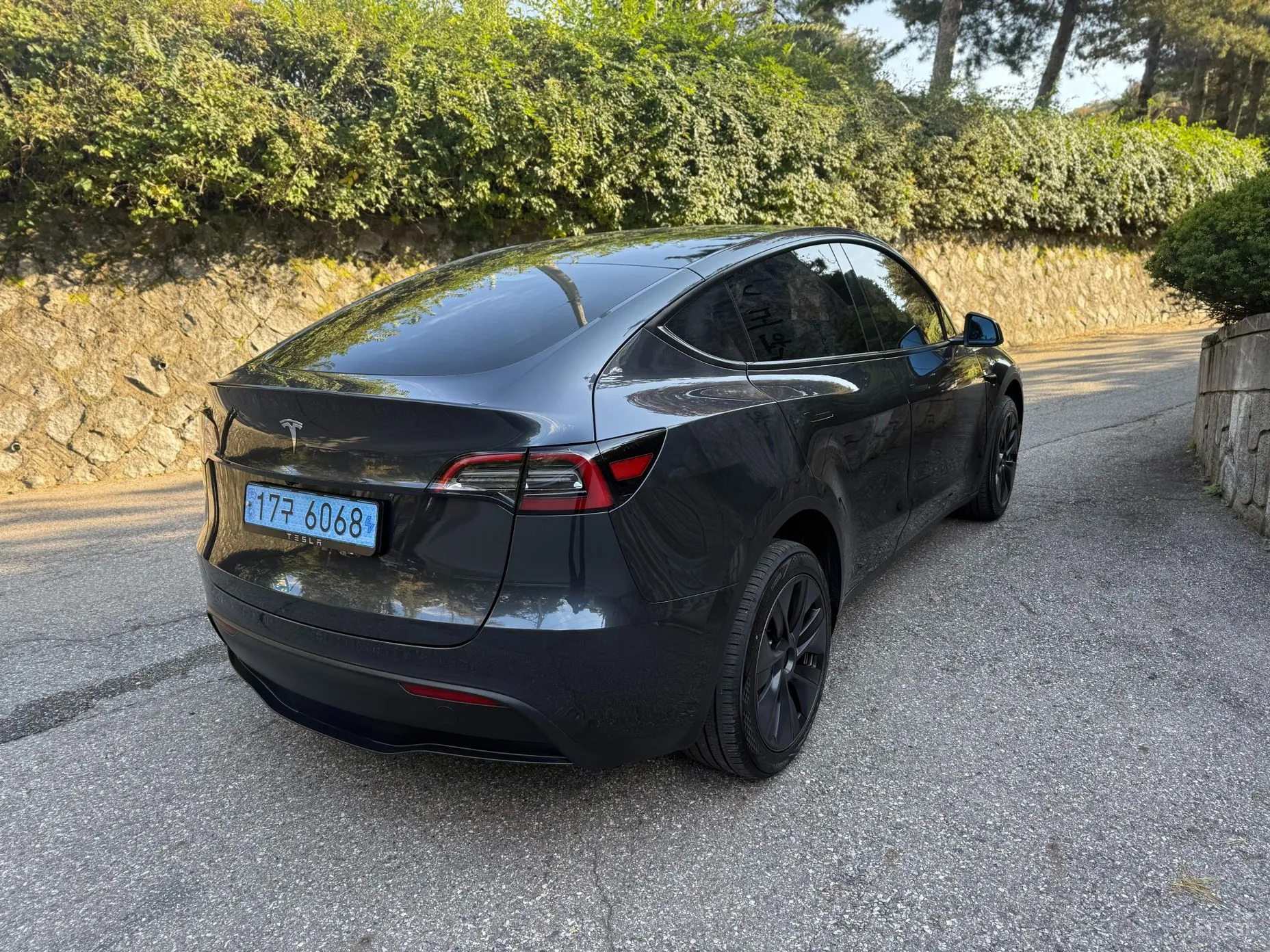 Tesla Model Y превью 4