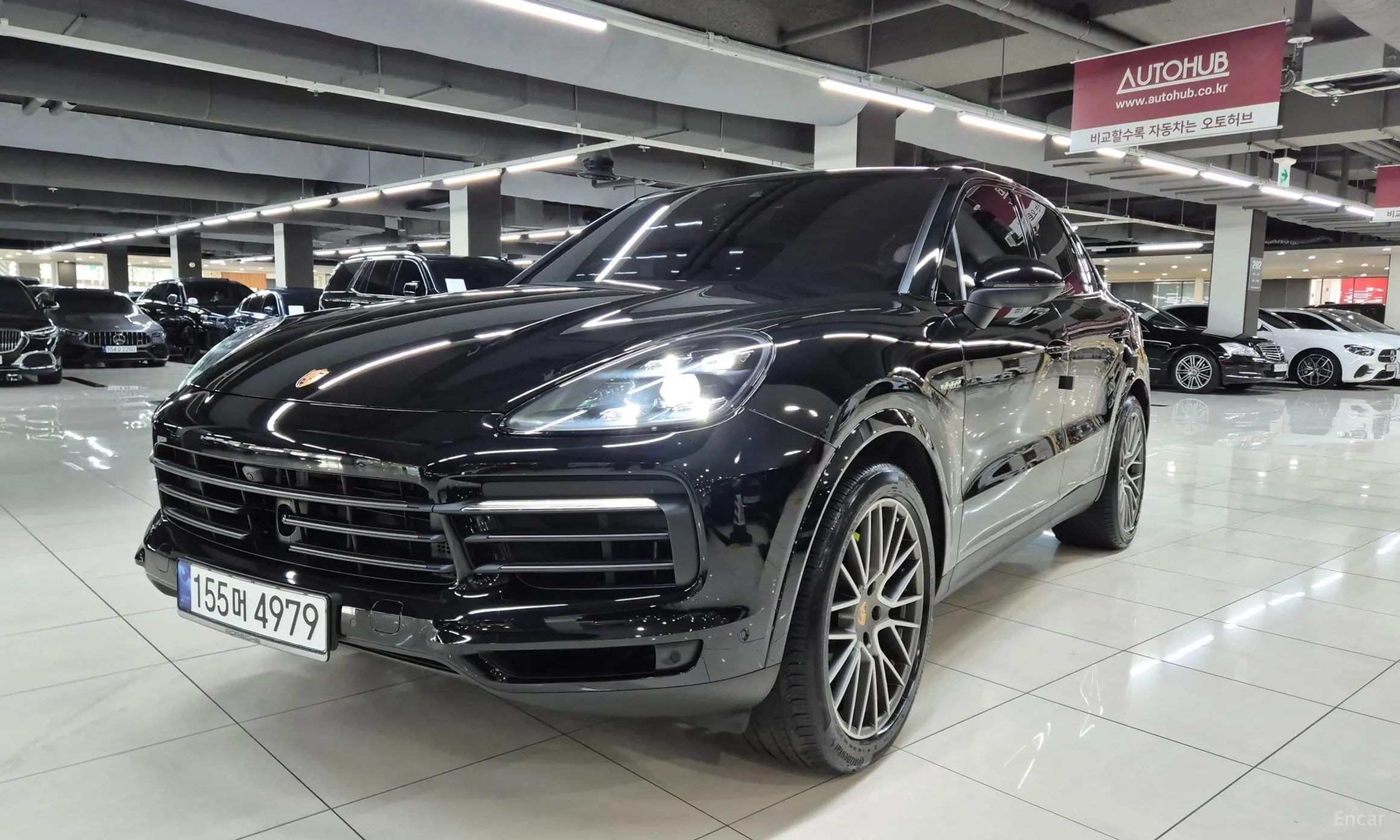Cayenne (PO536)