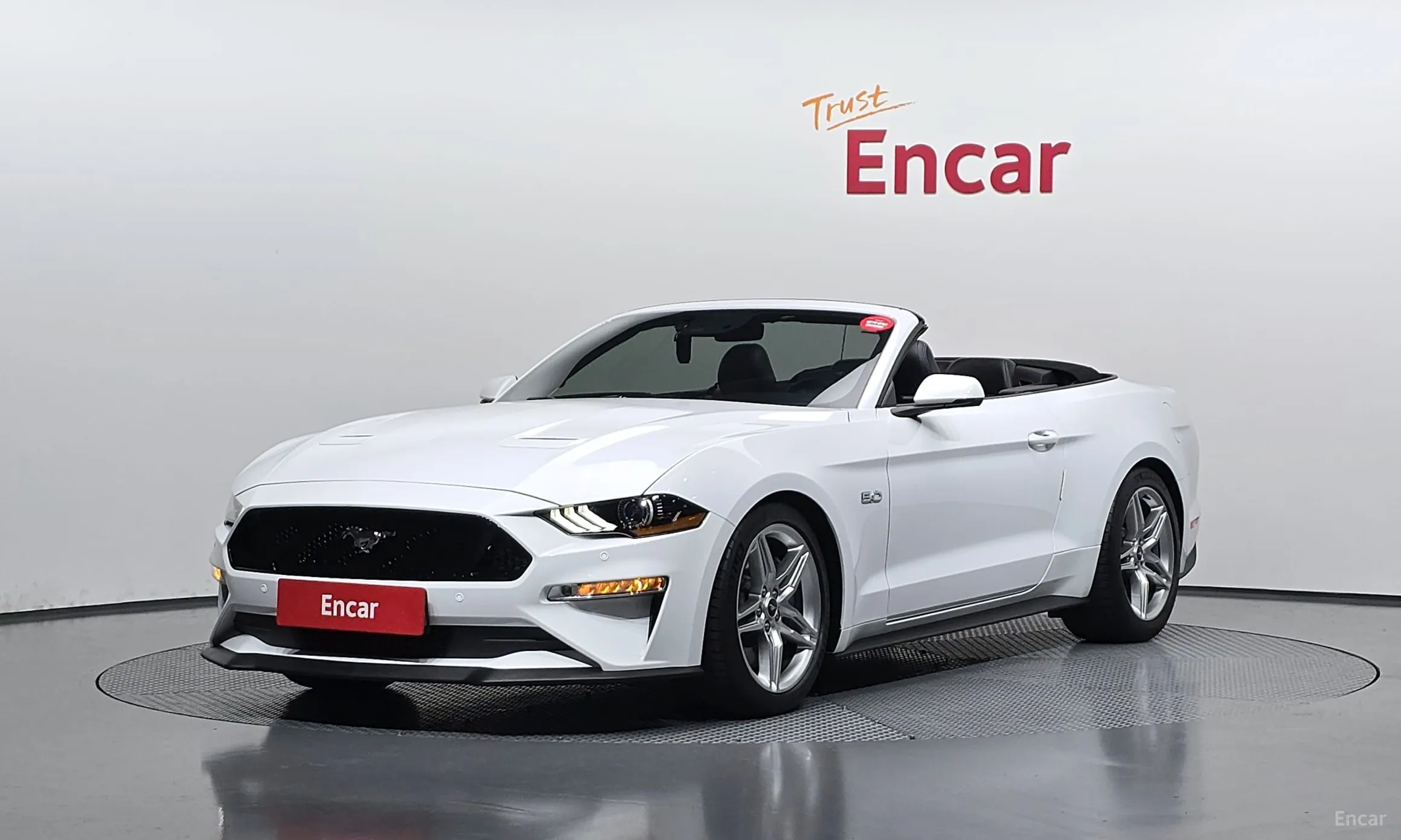 Mustang