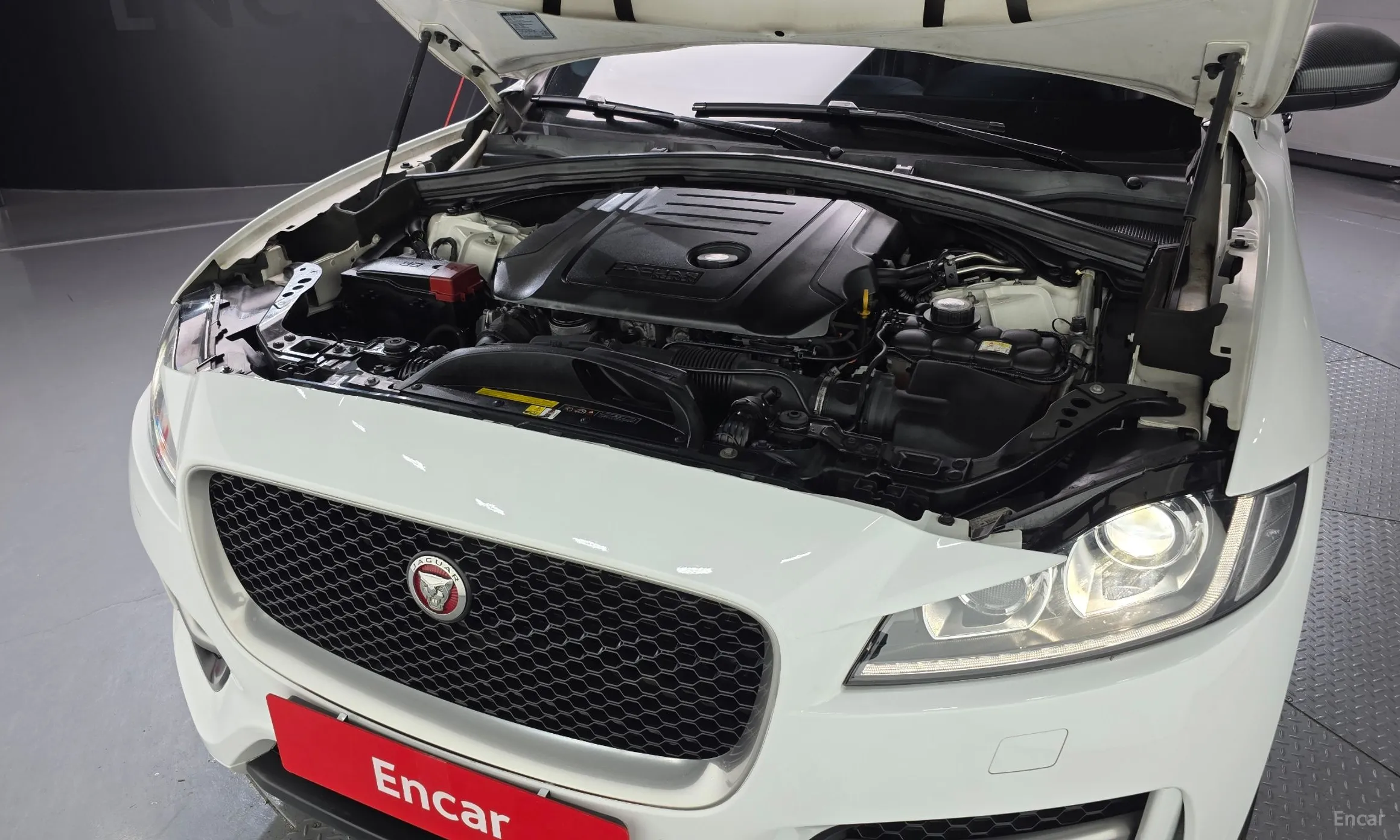 Jaguar F-PACE превью 6