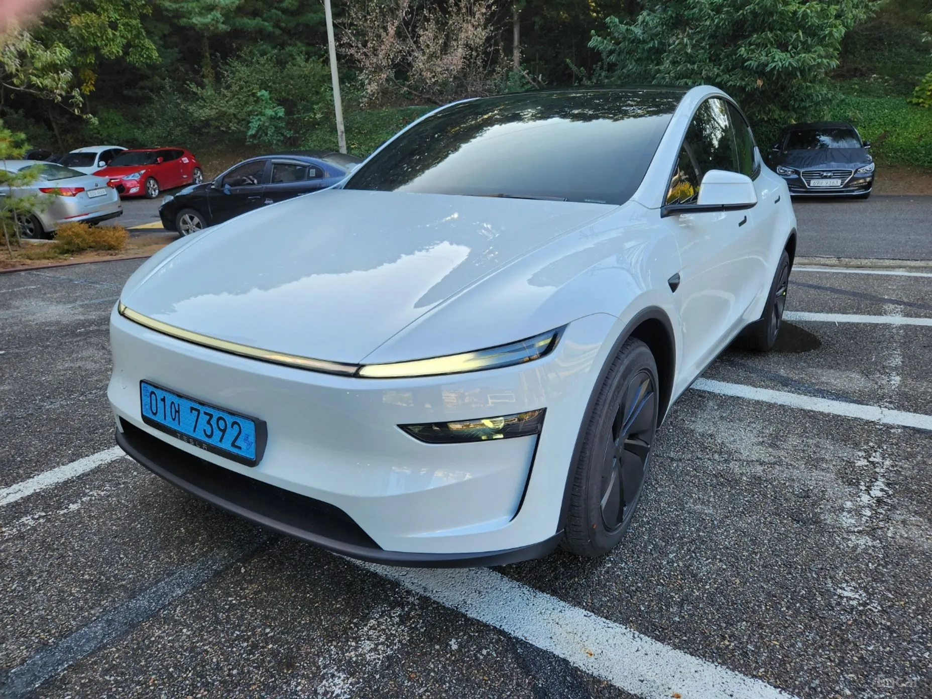 Tesla Model Y превью 3