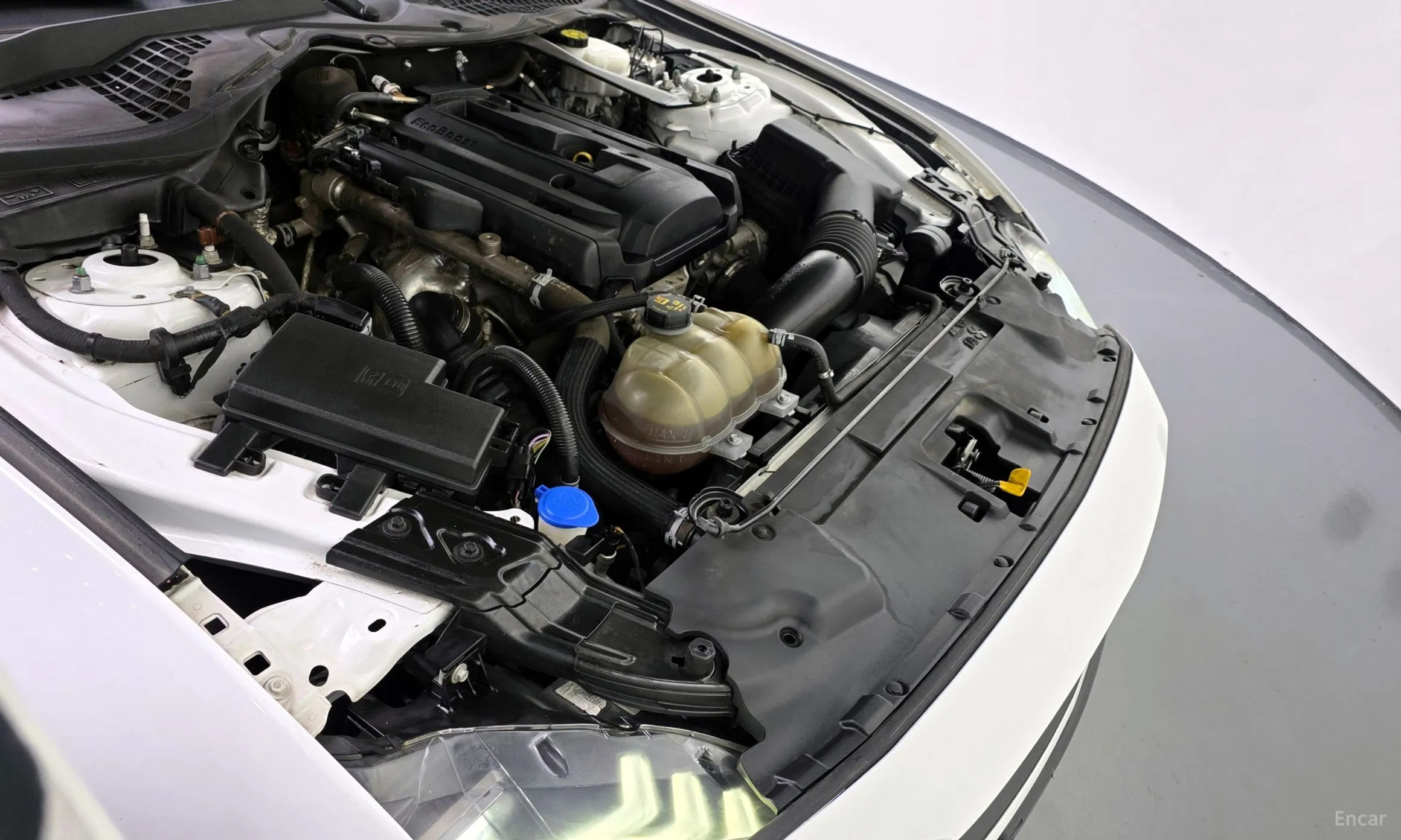 Ford Mustang превью 6