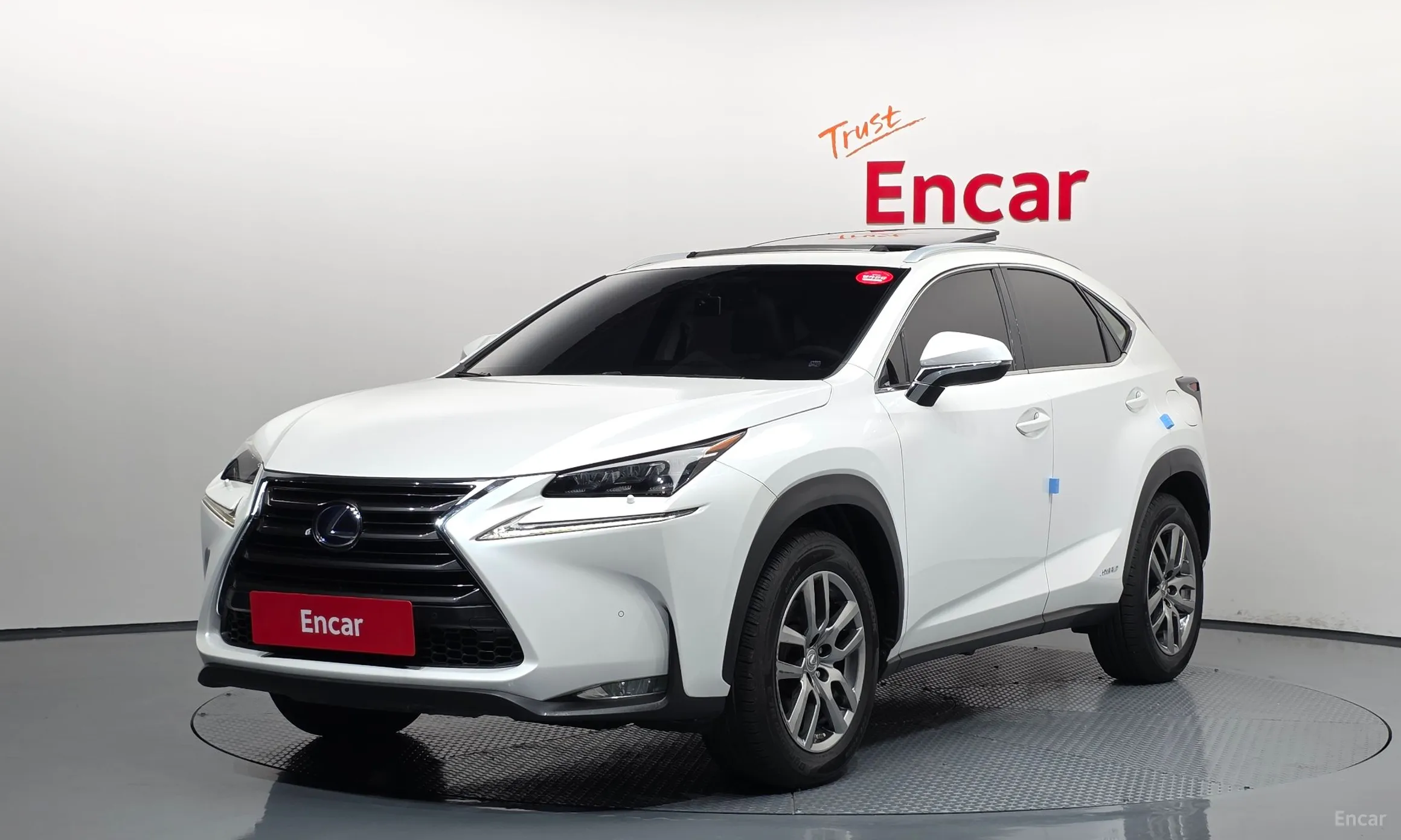 NX300h