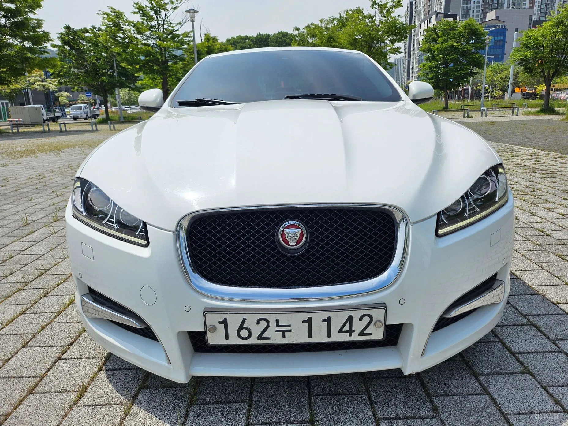 New XF