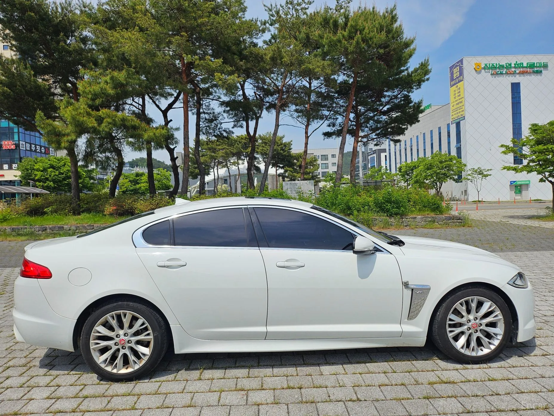 Jaguar New XF превью 4
