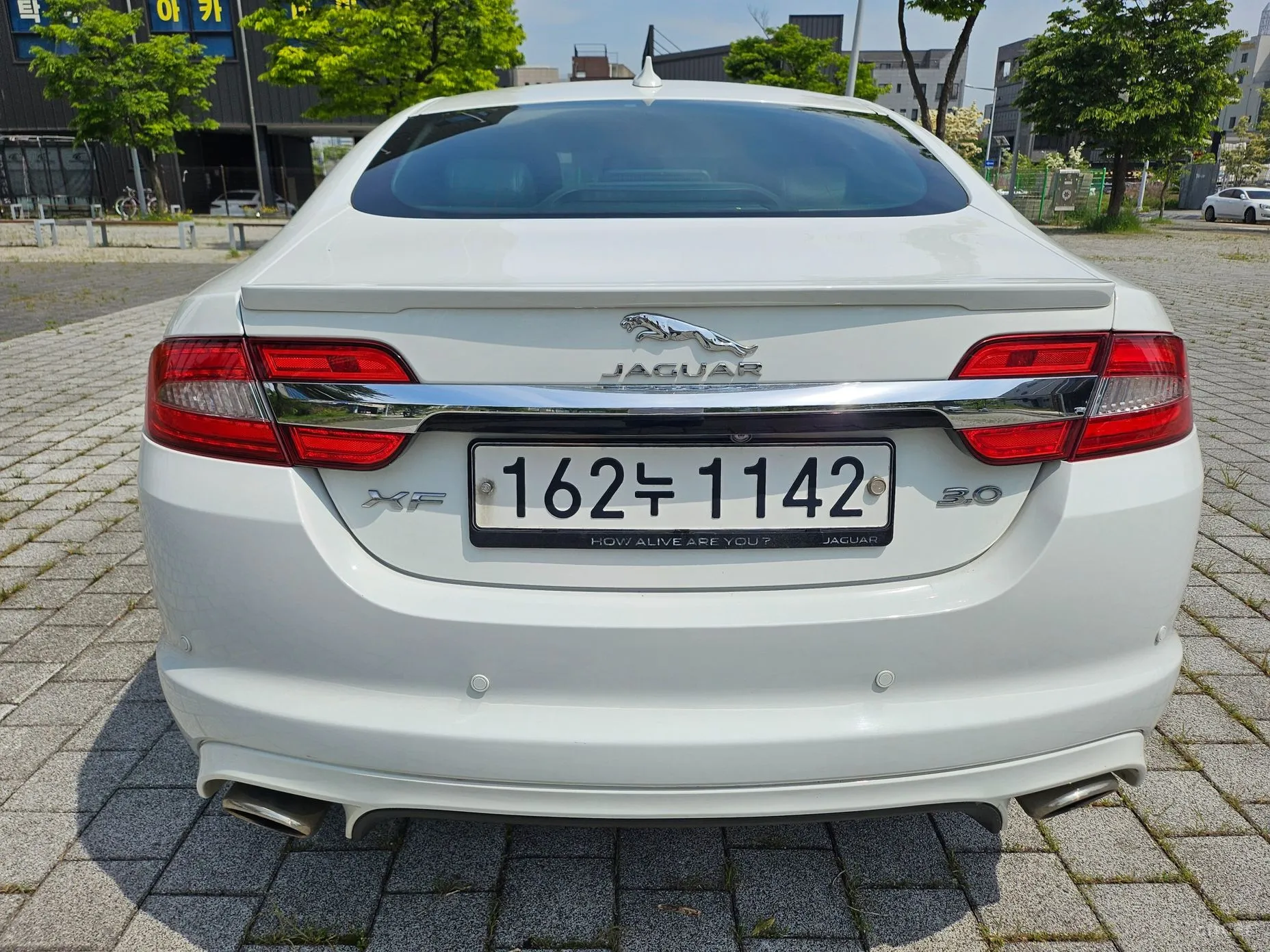 Jaguar New XF превью 6