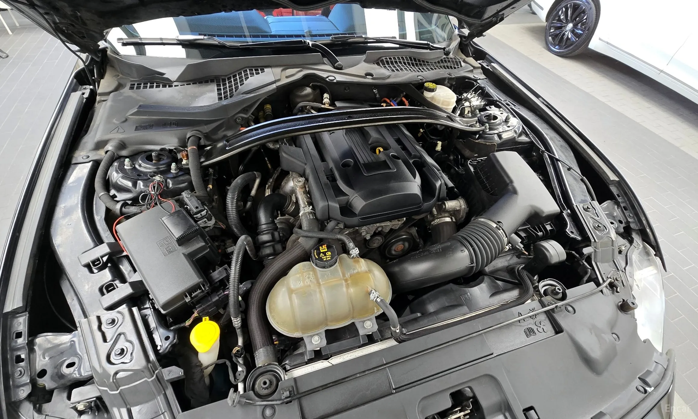 Ford Mustang превью 6