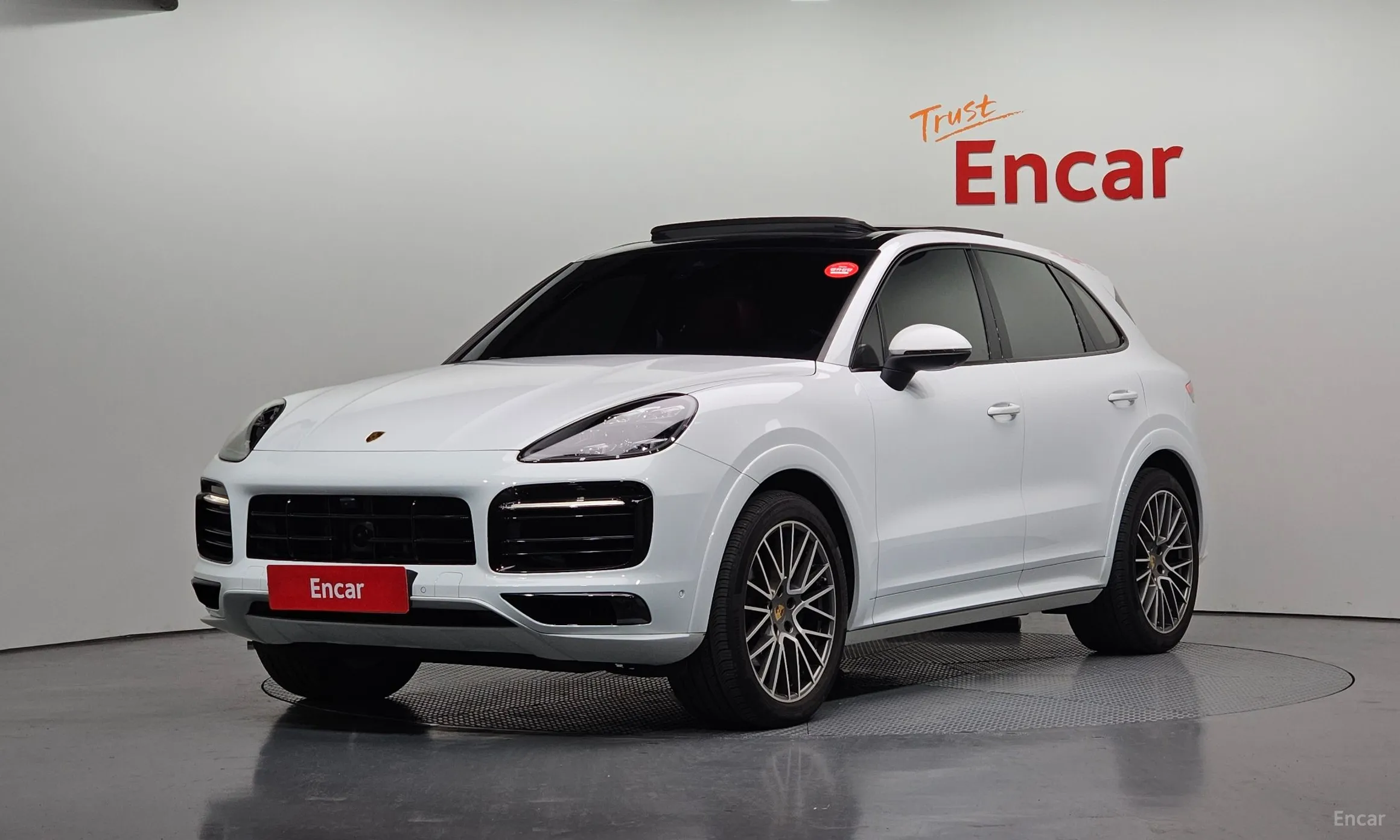 Cayenne (PO536)