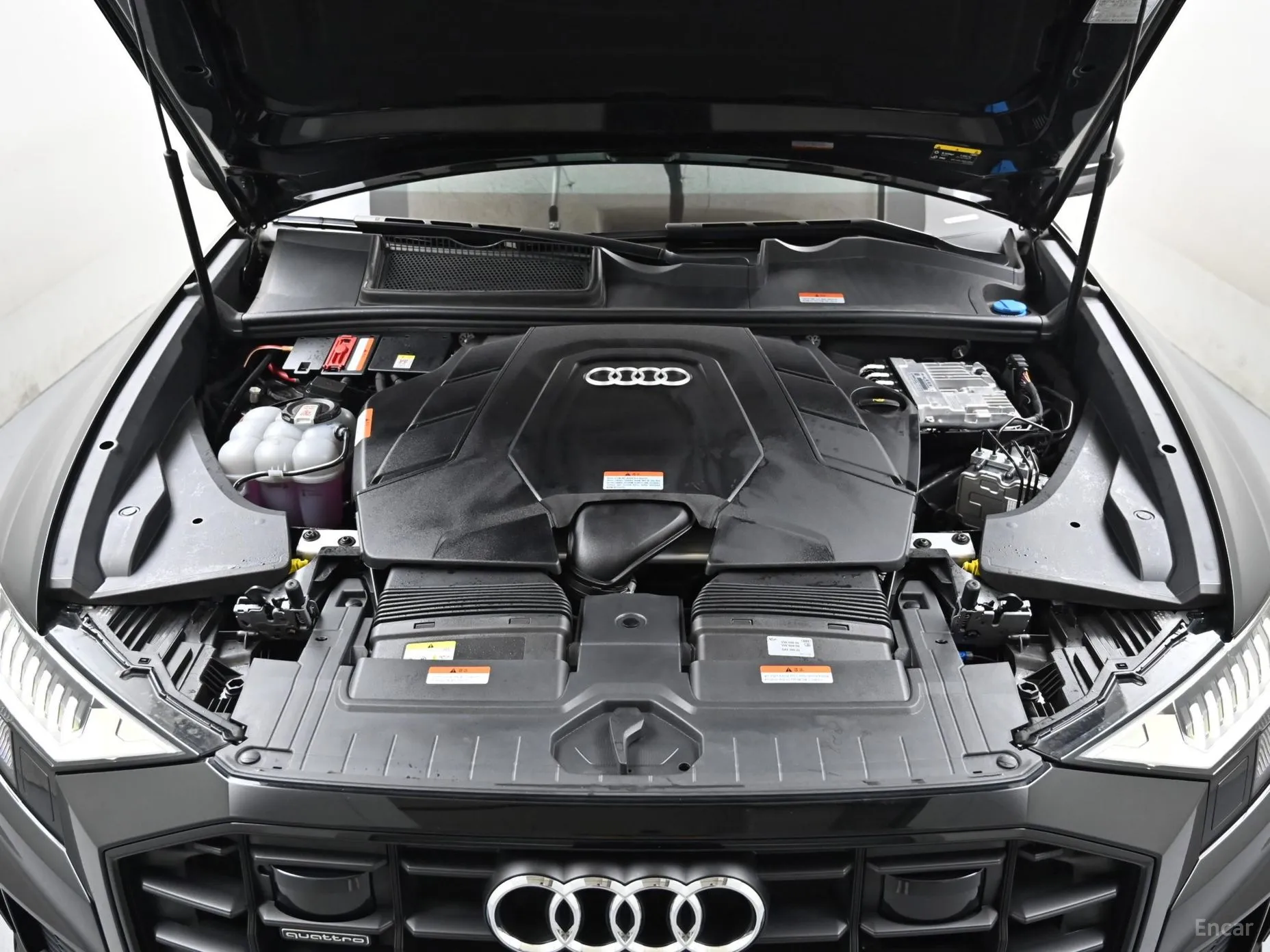 Audi Q8 (4M) превью 6
