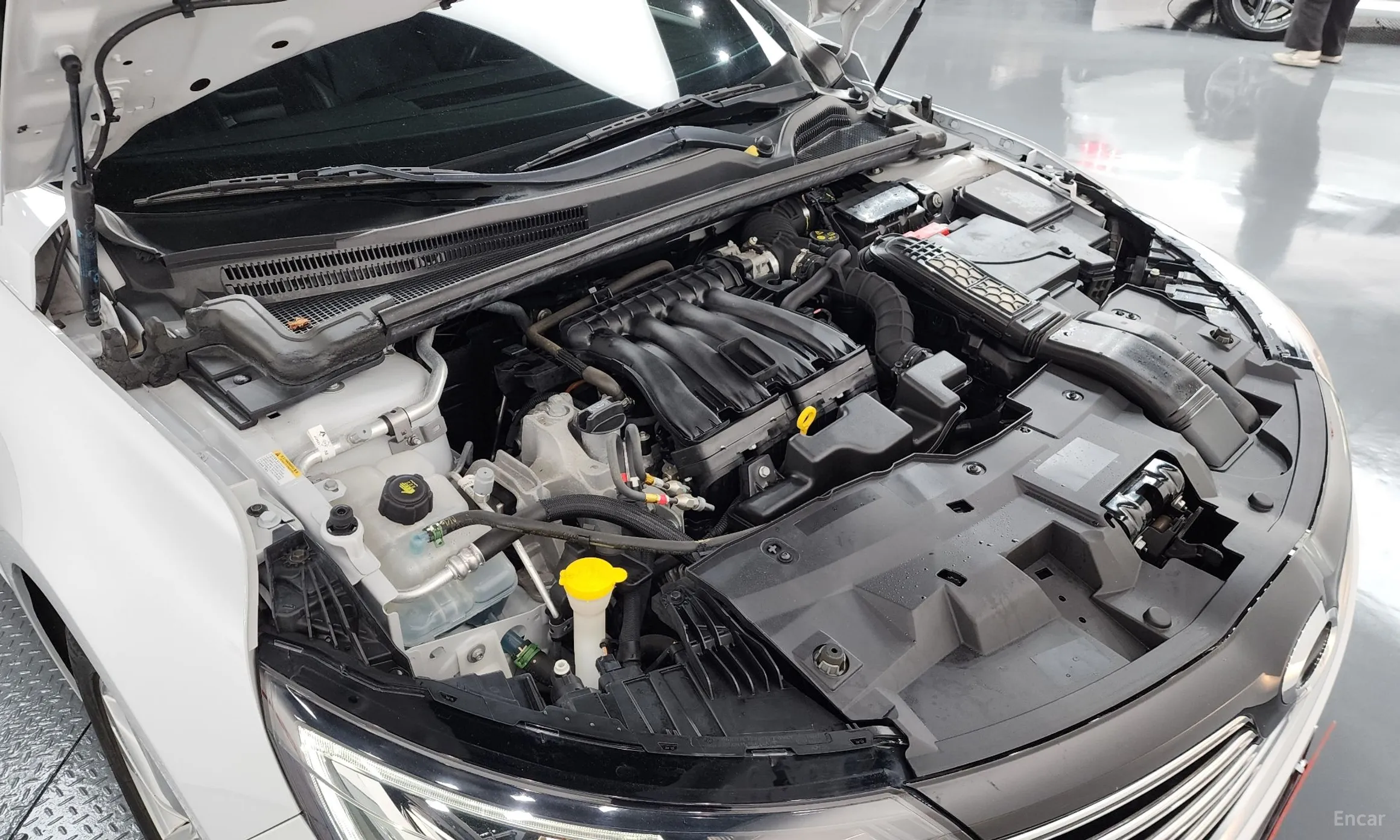 Renault Korea (Samsung) SM6 превью 6