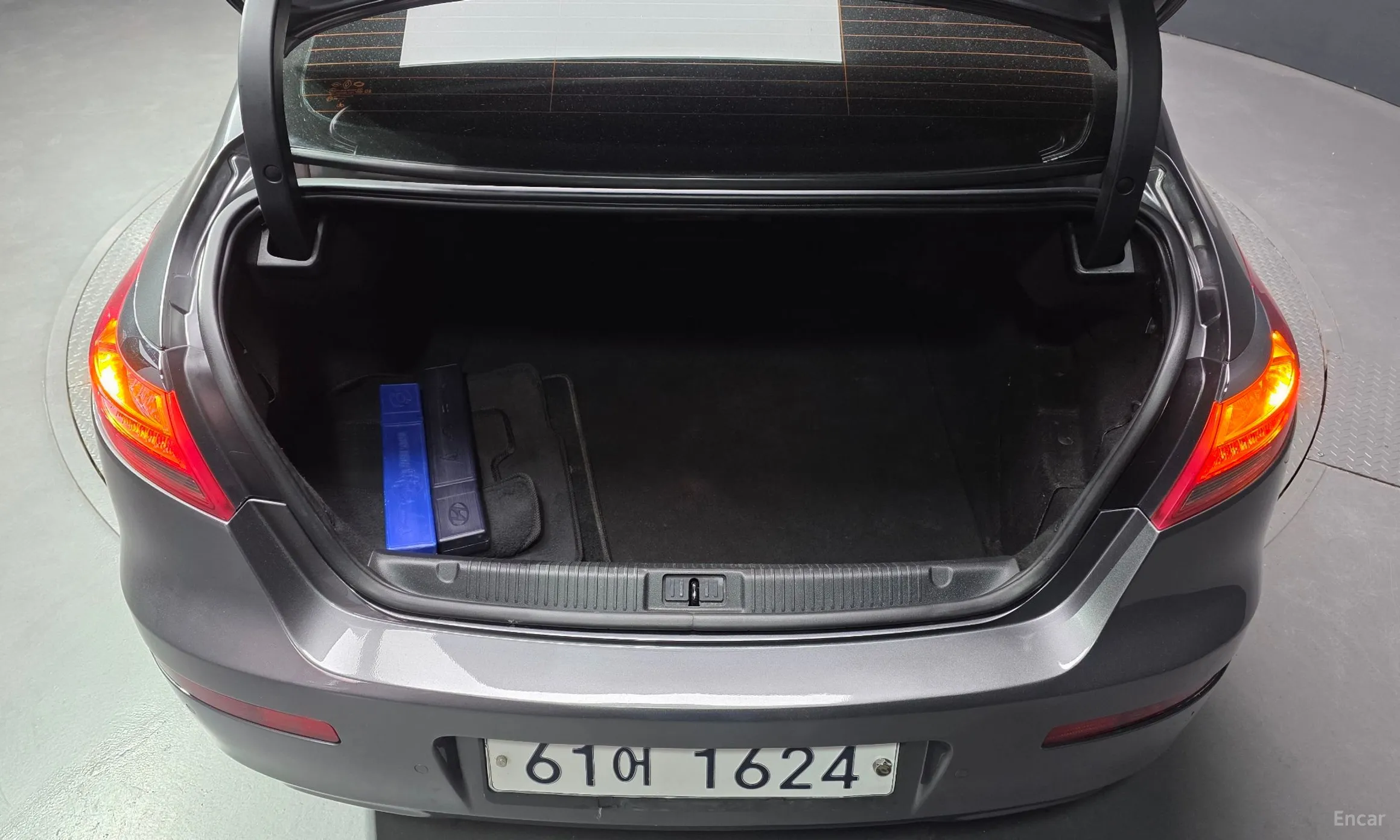 Renault Korea (Samsung) SM7 превью 20