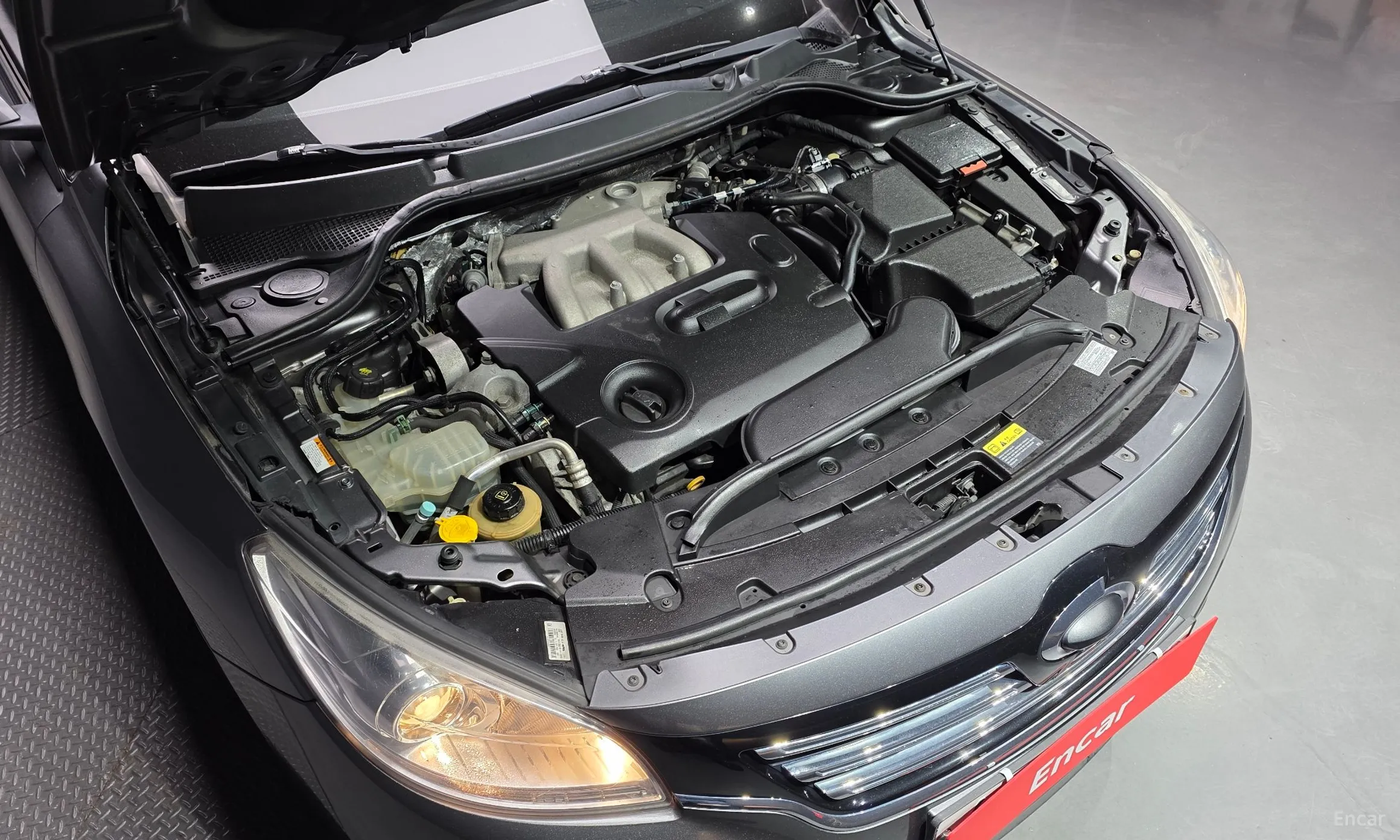 Renault Korea (Samsung) SM7 превью 6