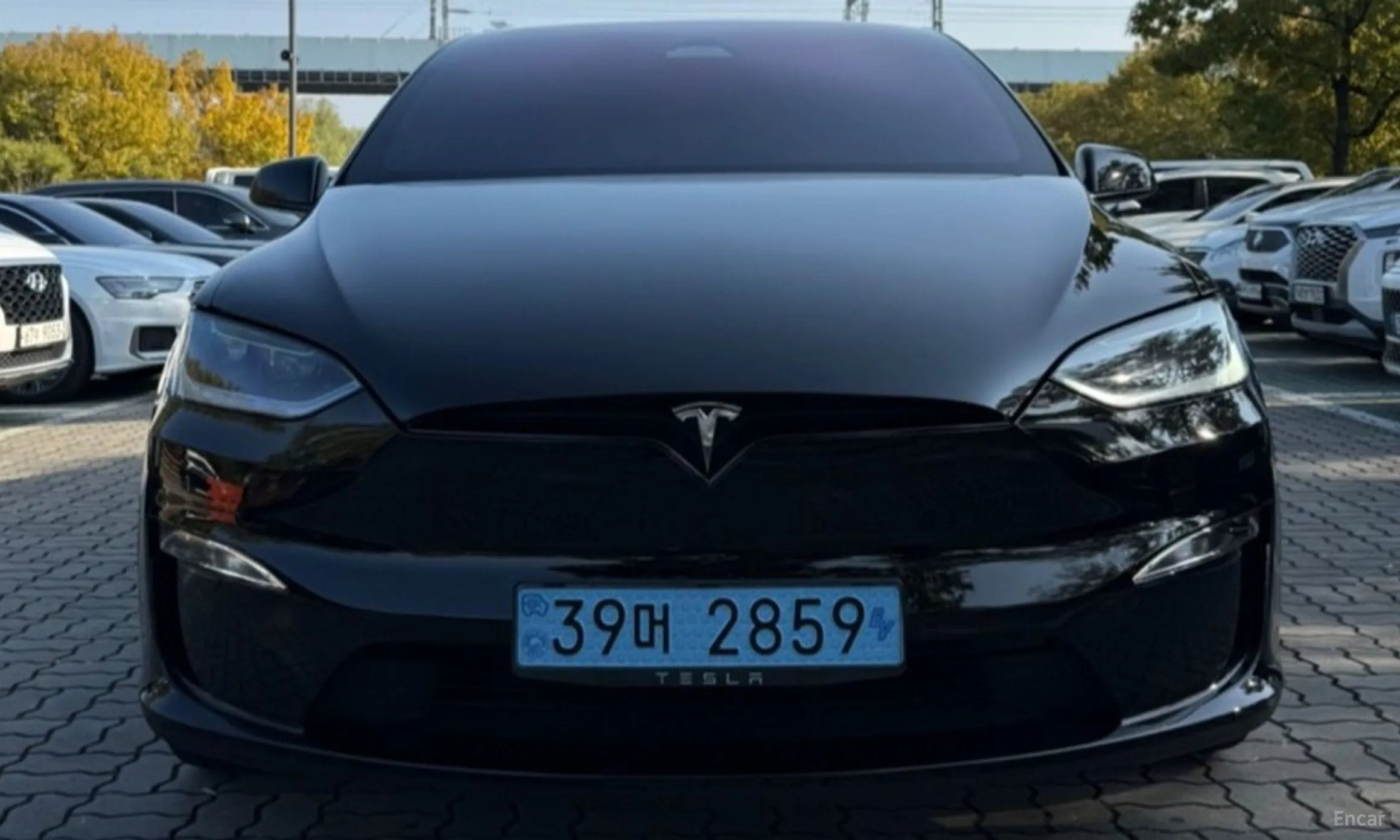 Tesla Model X превью 3