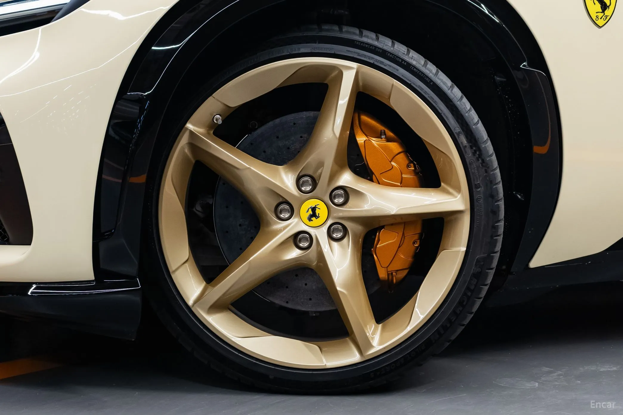 Ferrari Puro Sange превью 5