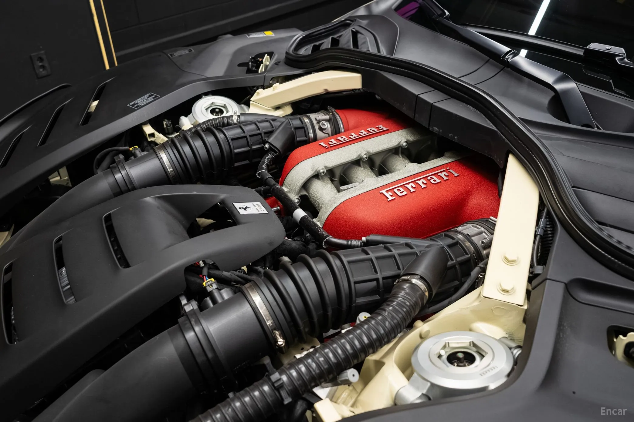 Ferrari Puro Sange превью 6
