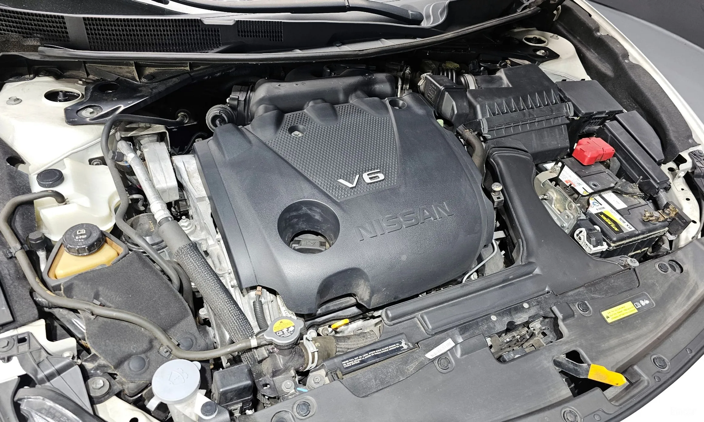 Nissan Maxima (A36) превью 6