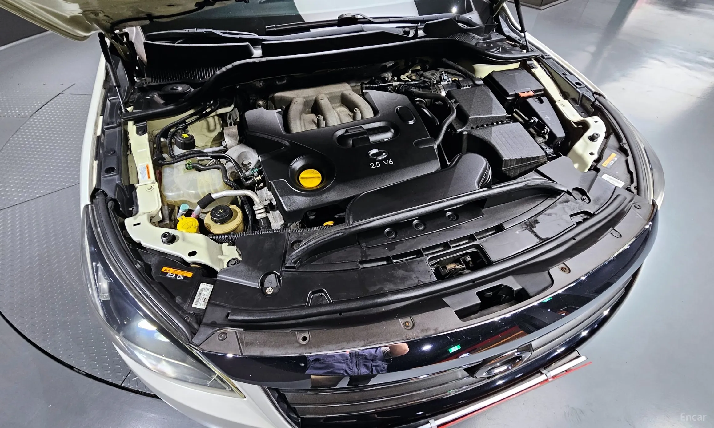 Renault Korea (Samsung) SM7 превью 6