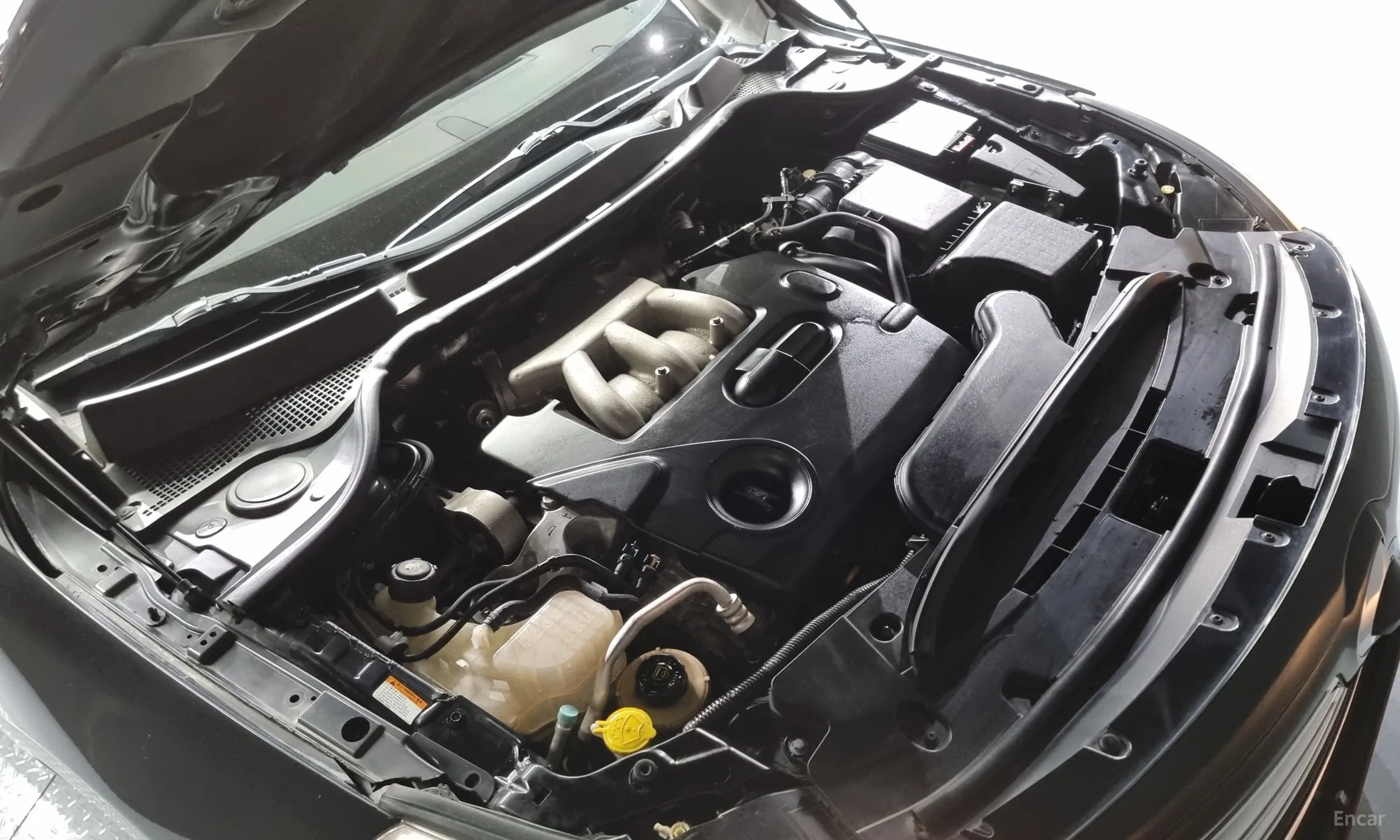 Renault Korea (Samsung) SM7 превью 5