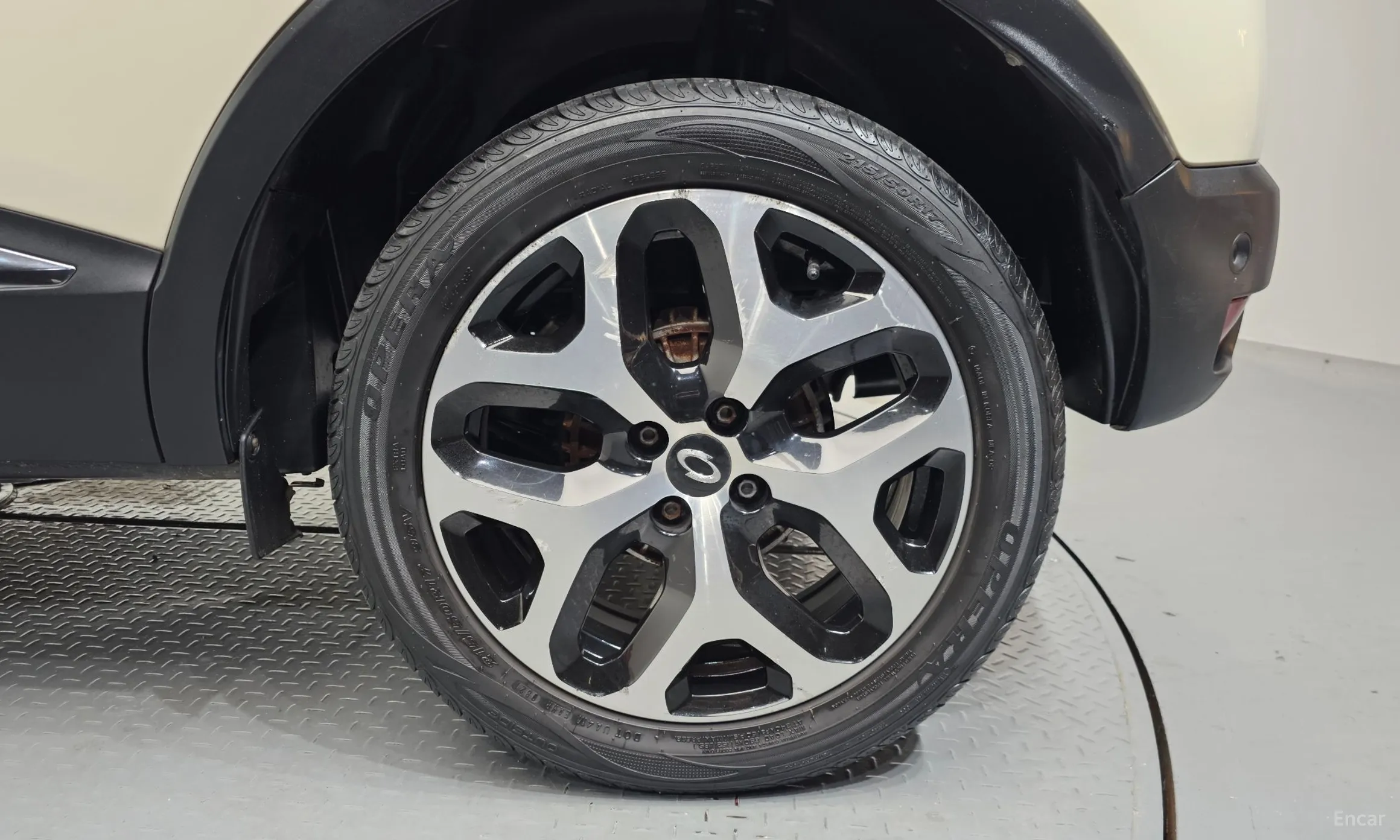 Renault Korea (Samsung) QM3 превью 5