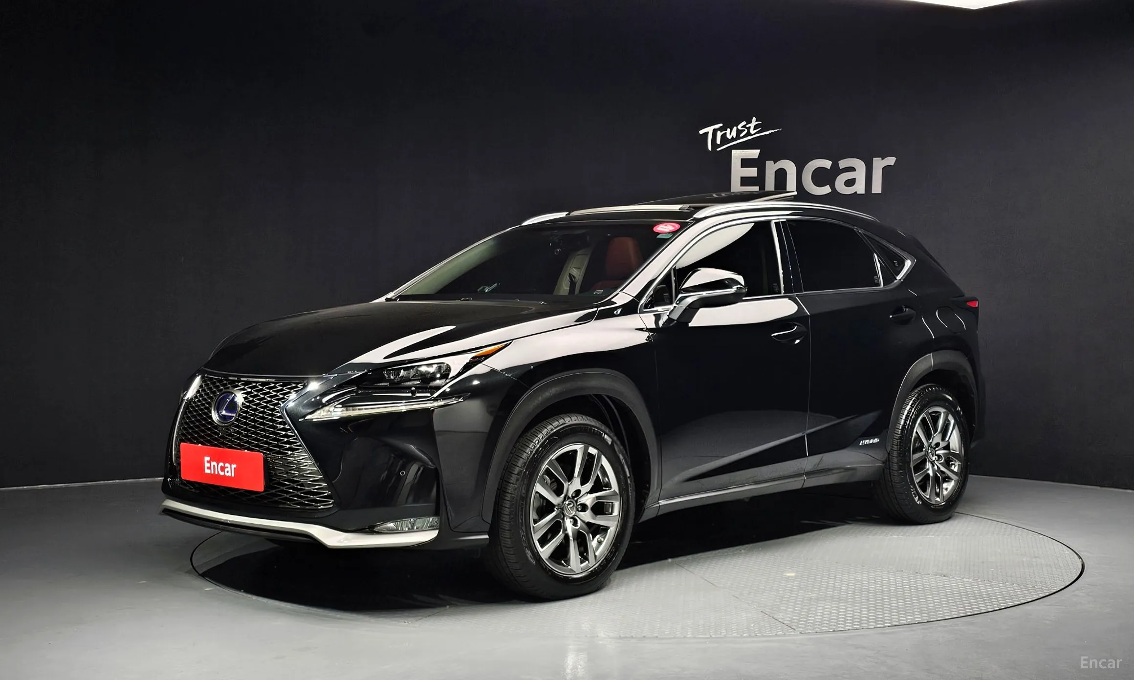 Lexus NX300h