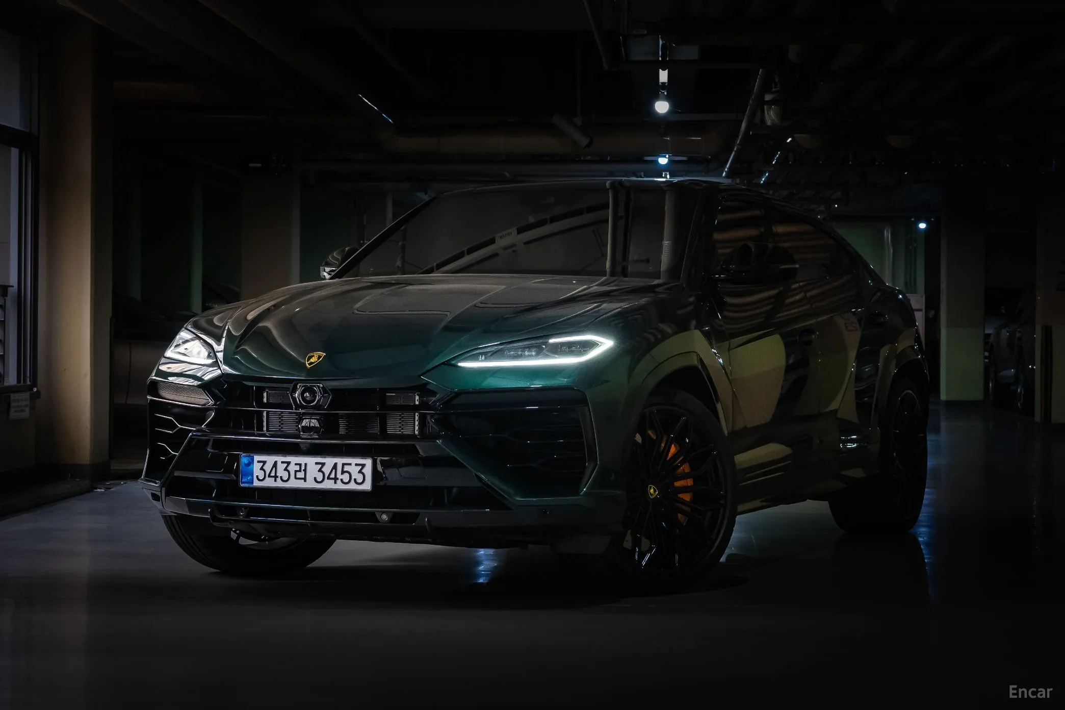 Urus